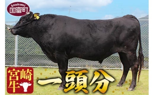 宮崎県国富町から《宮崎牛１頭分》総重量約224.5kgのお肉をお届け！ふるさと納税