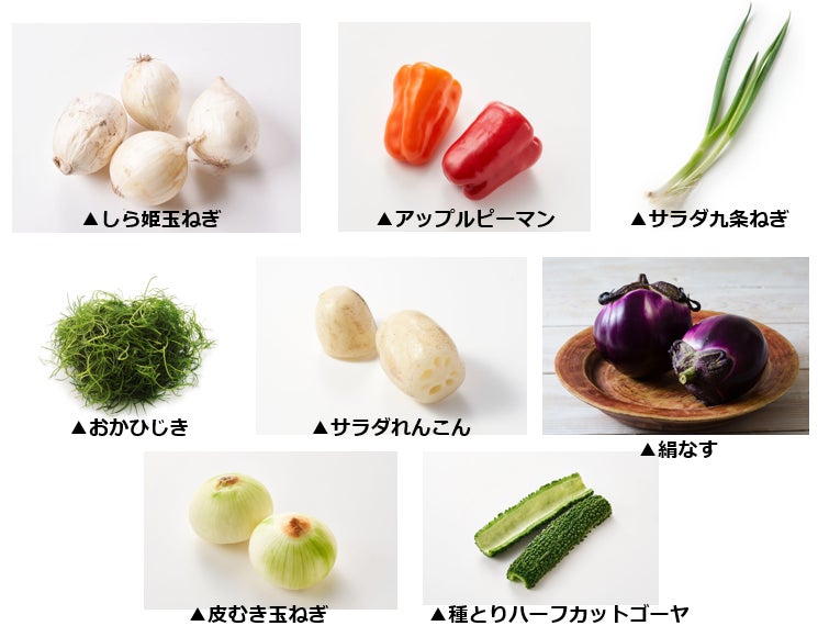 野菜の日(8月31日)に合わせ、野菜とサラダに対する意識調査を発表　「サラダ白書2023」　　　　　　　　　　　　　