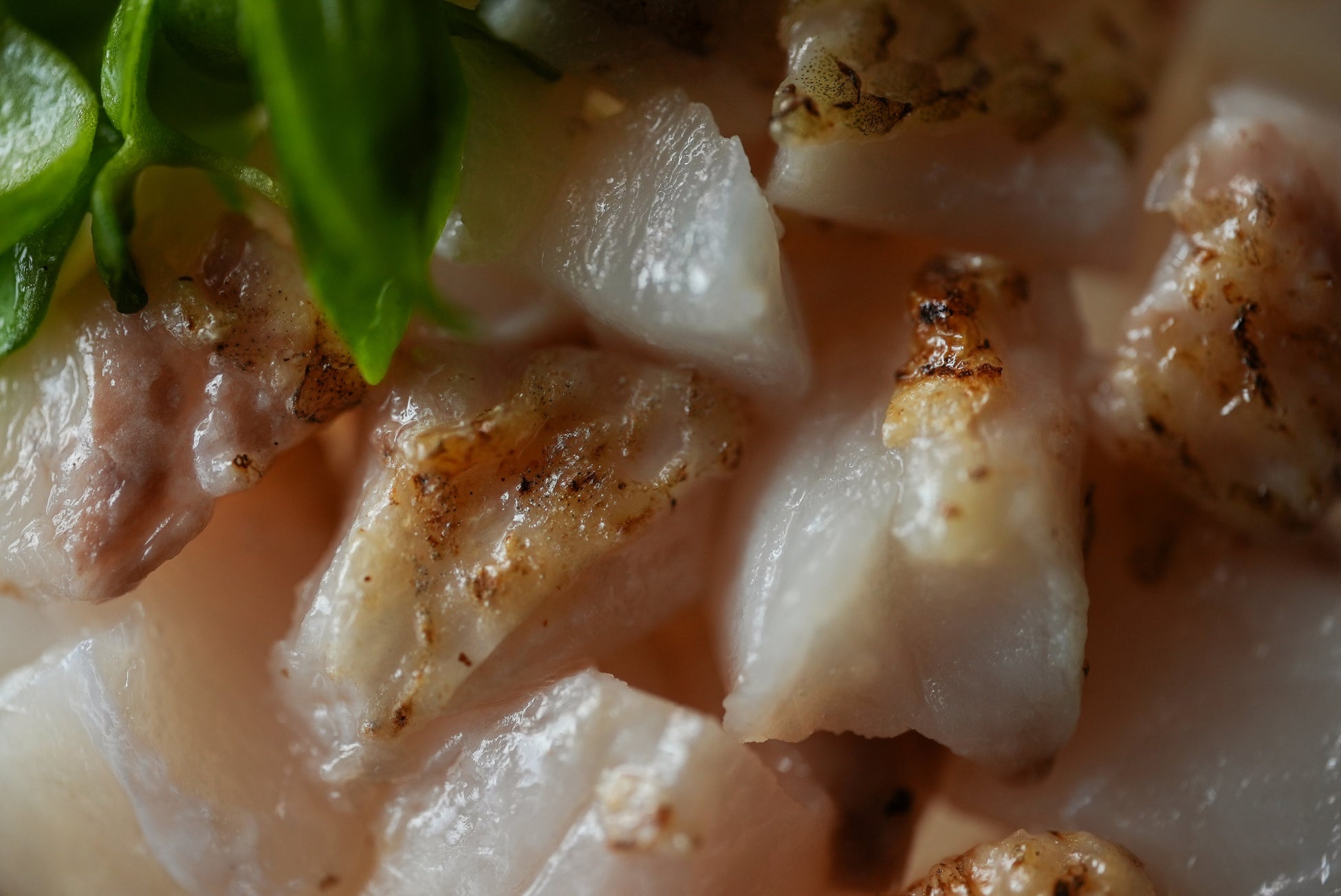 創作海鮮丼専門店【TILE (タイル)】にて、白身のトロと称される高級魚【のどぐろ】の提供を、2023年9月1日(金)よりスタート！