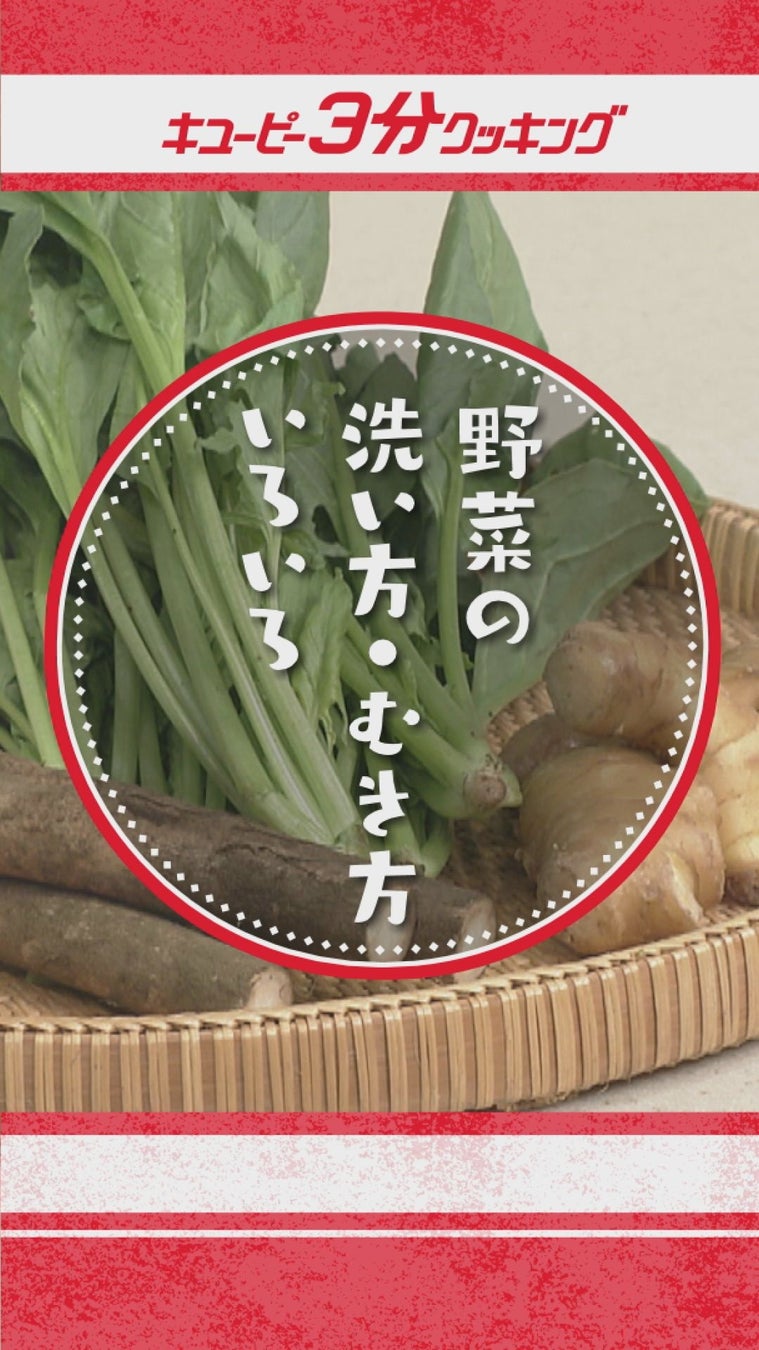 【料理SNSスナップディッシュ】生活者との共創により東海漬物「惣菜感覚の新しい浅漬」の商品開発を支援。