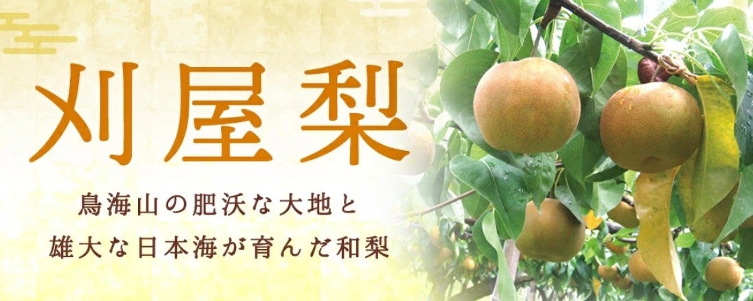 ヤマサ蒲鉾が、『蓮の花苑』フォトコンテスト受賞作品展示会を開催