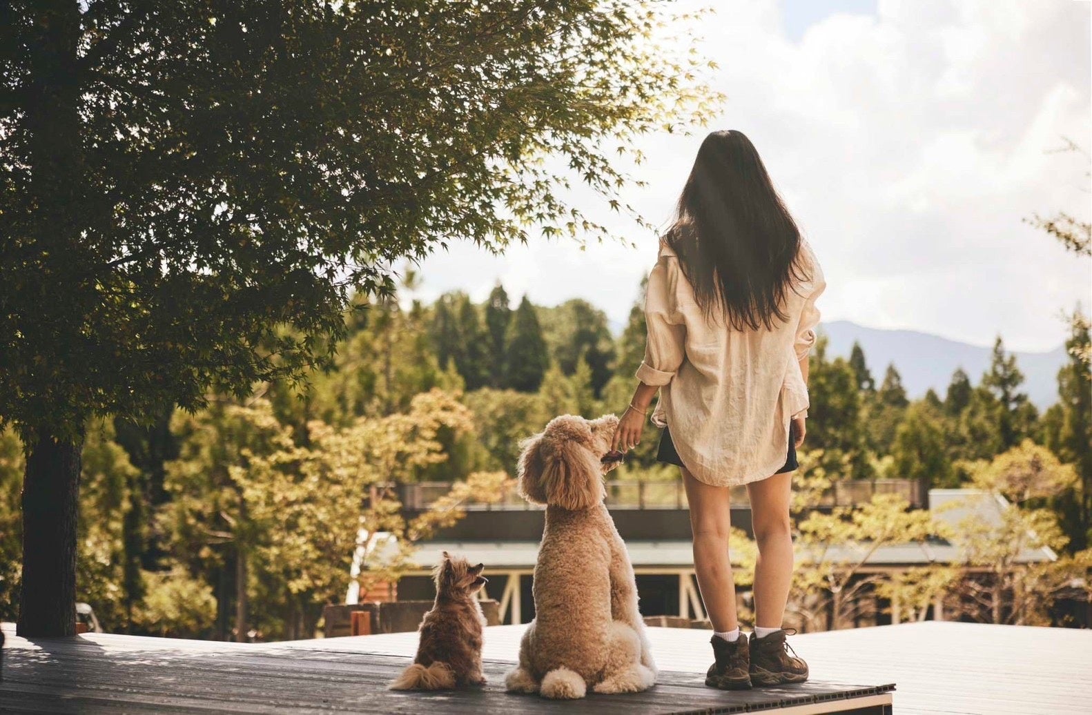 ワタミファームがグラスフェッドミルクアイスの新商品開発スーパースィーツ社と新プロジェクト進行中