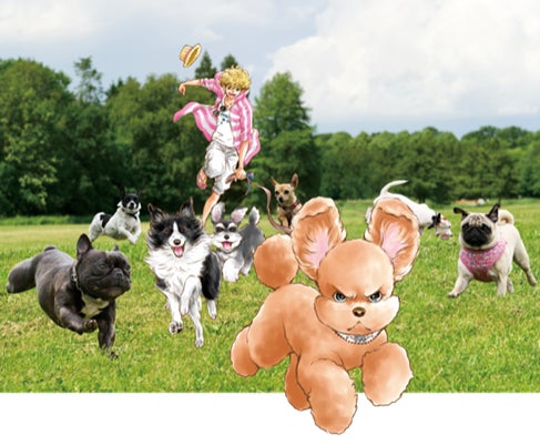 【新発売】手作りシフォンケーキ専門店 This is CHIFFON CAKE.は、秋限定の紅茶シフォンケーキ「Earl Grey CHIFFON【MOMIJI】 」を発売！