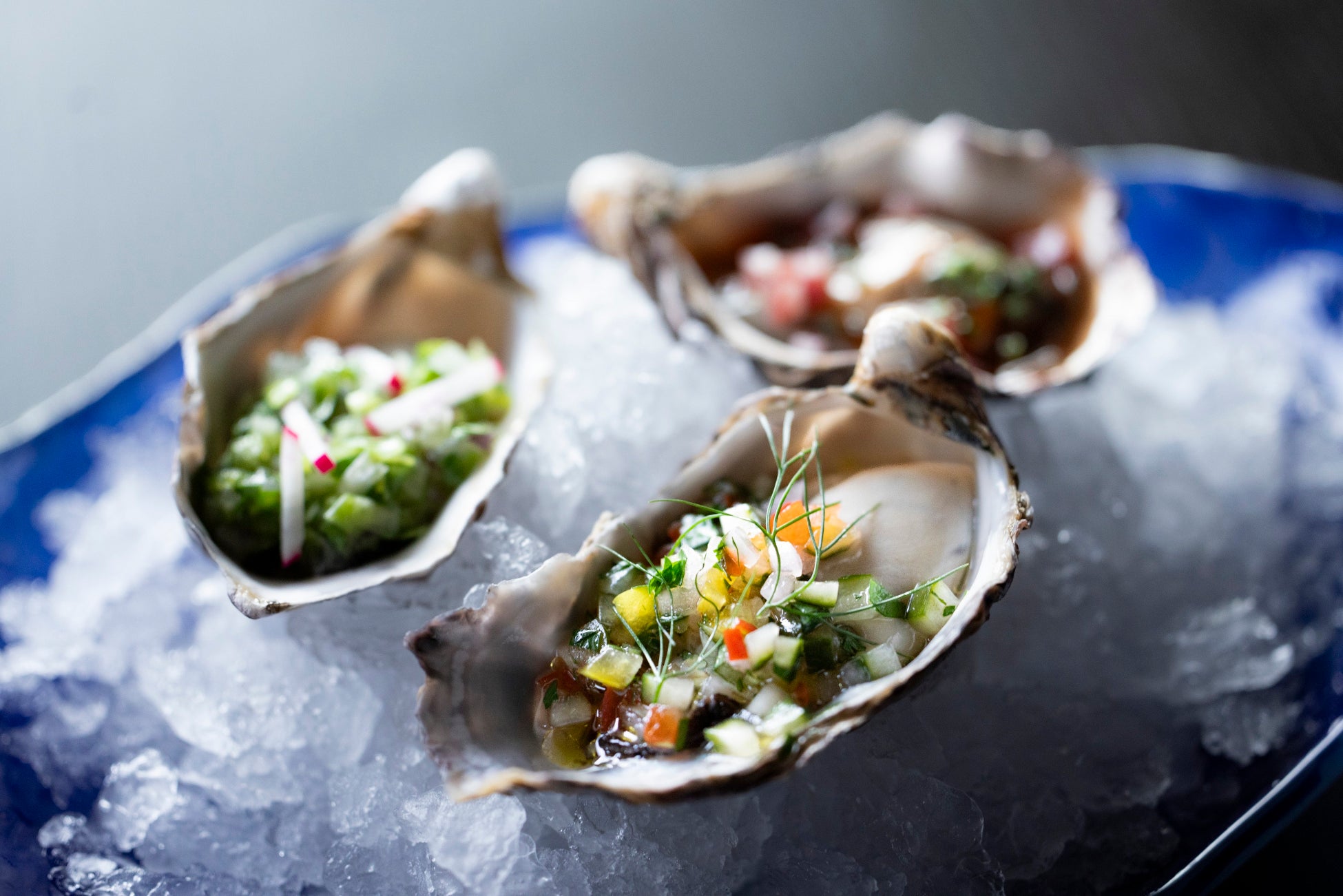 【熊本県へ初上陸】新時代に鶏料理の専門性の高めた『新時代44 熊本下通り2号店』2023年9月13日(水)グランドオープン