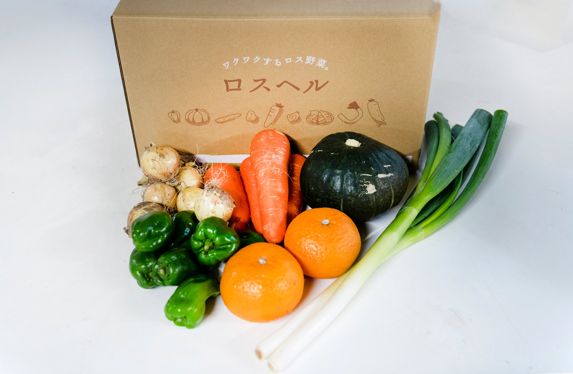 福井大学教育学部附属義務教育学校の小学6年生が食品ロスを学ぶために文化祭で「ロスヘル」を紹介・販売