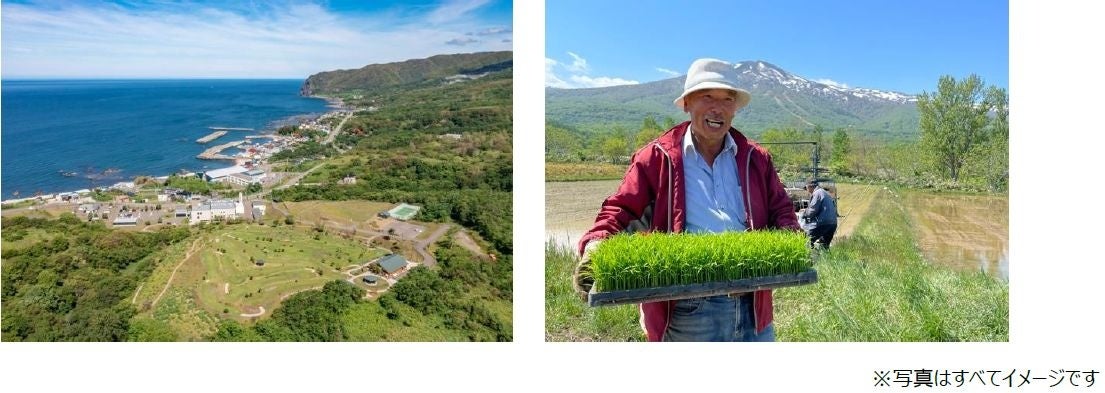 初コラボ!発売70年目の国内売上No.1チーズ※1がポテトチップスで新登場!王道の味わいと濃厚なコクが楽しめる『ポテトチップス 6P(ロッピー)チーズ味』