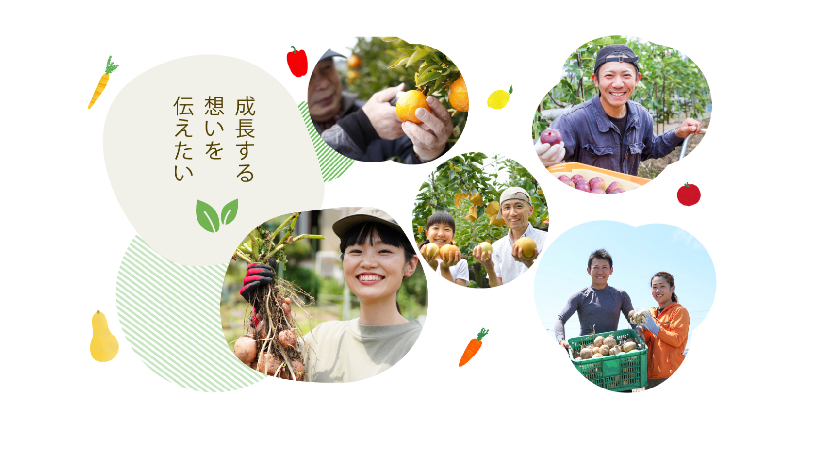 【西明石ホテルキャッスルプラザ】兵庫県明石市の日本料理店「赤石」が、兵庫赤鶏と新鮮キノコの贅沢「秋の味覚 釜めし御膳」を提供！