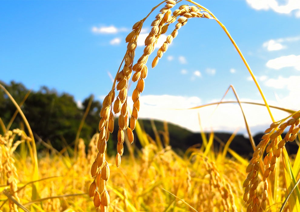 いいものをちょっとずつ！「キャギ ド レーブ」にて期間限定で「量り売りマルシェ」を実施