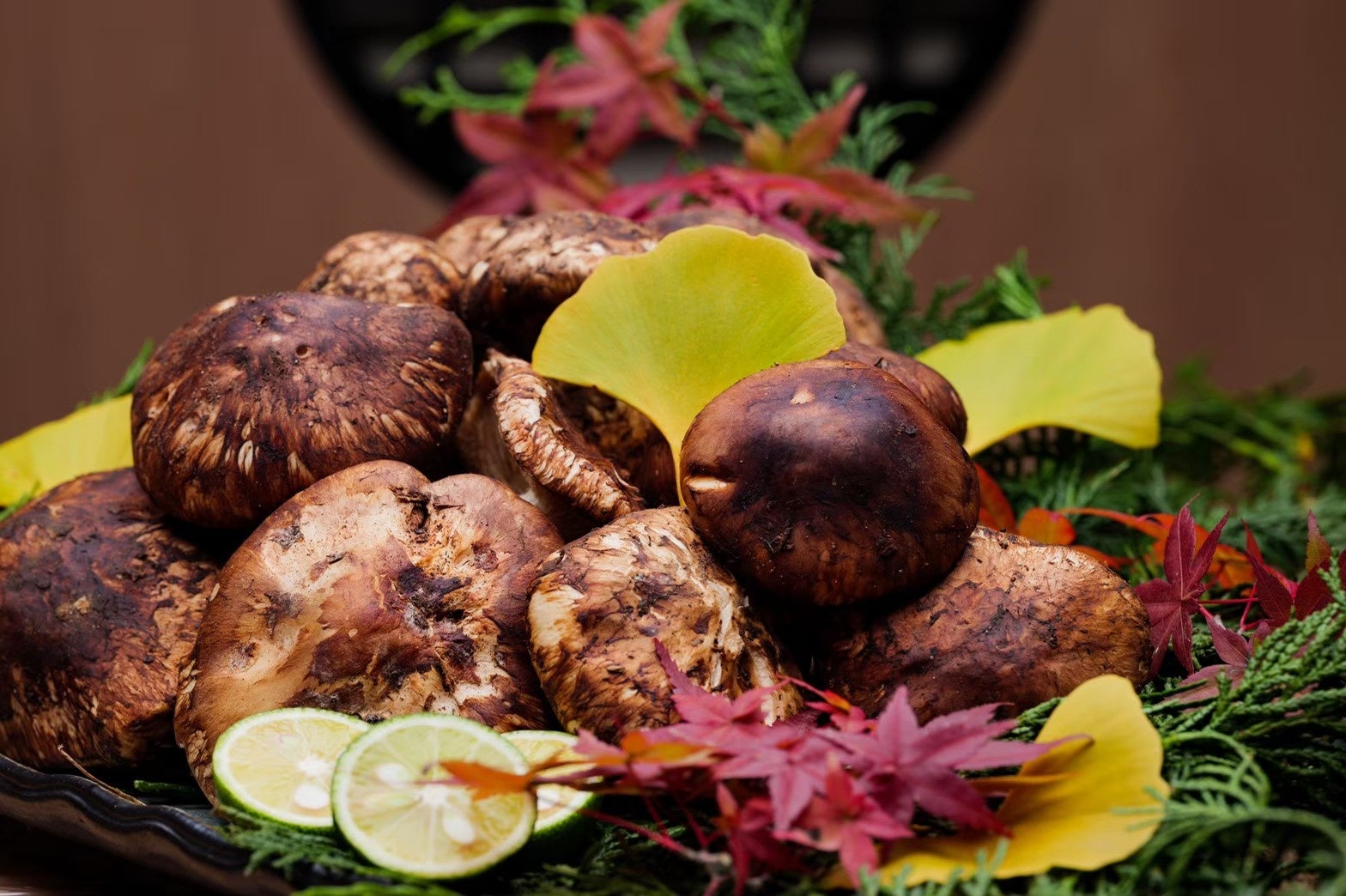 今年の秋は何を食べる?おいしい秋を探しに行こう! おいしい秋がみつかる「発見!秋の味覚フェア」を開催