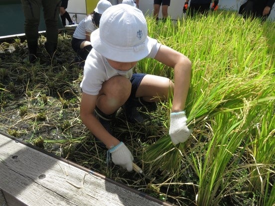フランス版人間国宝、日本在住1号＆2号シェフが共演！トゥールダルジャン 東京にて4日間限定”W M.O.F.フェア”開催