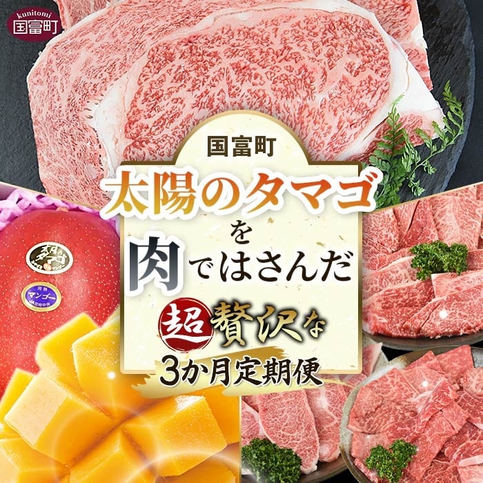 【東広島市ふるさと納税限定返礼品】蔵元厳選の日本酒がご自宅へ「東広島の日本酒１０蔵定期便」が今年も登場