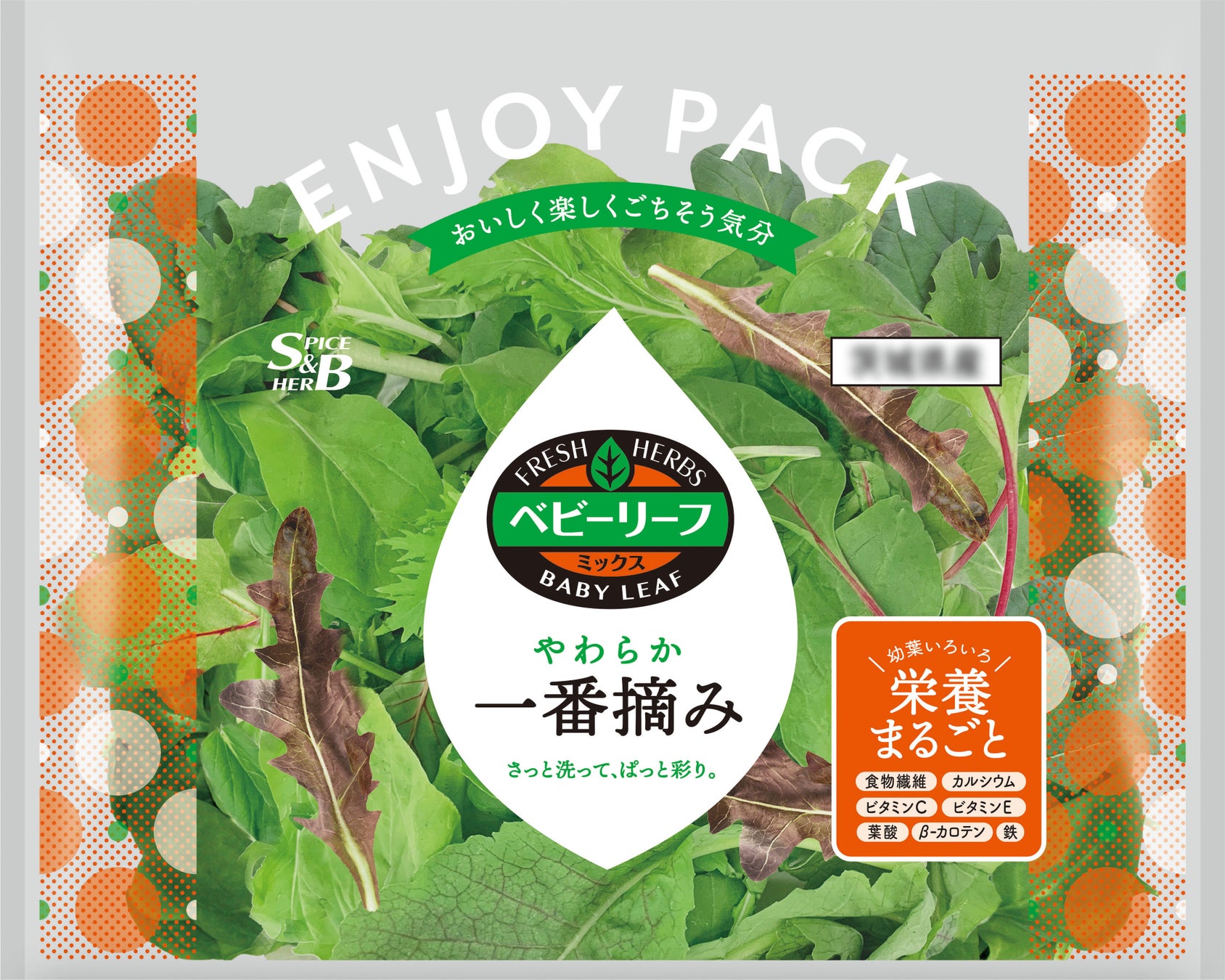 サイフォンコーヒーの抽出技術を競う世界大会「ワールド サイフォニスト チャンピオンシップ2023」UCCコーヒーアカデミー専任講師・中井千香子が世界第2位 入賞！