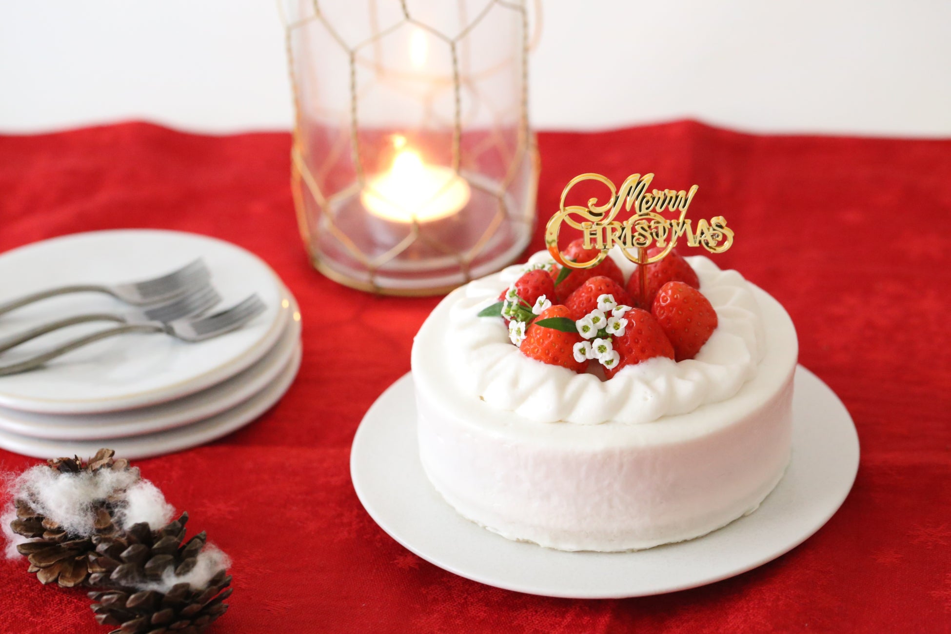 【早割特典あり！】グルテンフリー＆プラントベース「MogMog Cake（もぐもぐケーキ）」2023年クリスマスケーキ予約受付開始