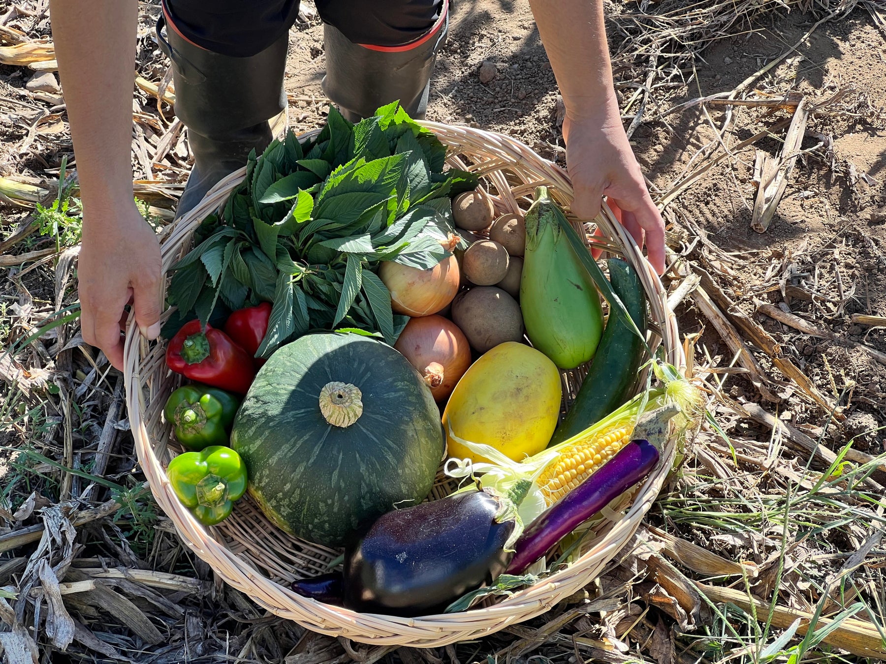 寒い季節にホットワインをティーバッグで手軽に楽しめる『ホットワインハーブミックス』 数量限定発売