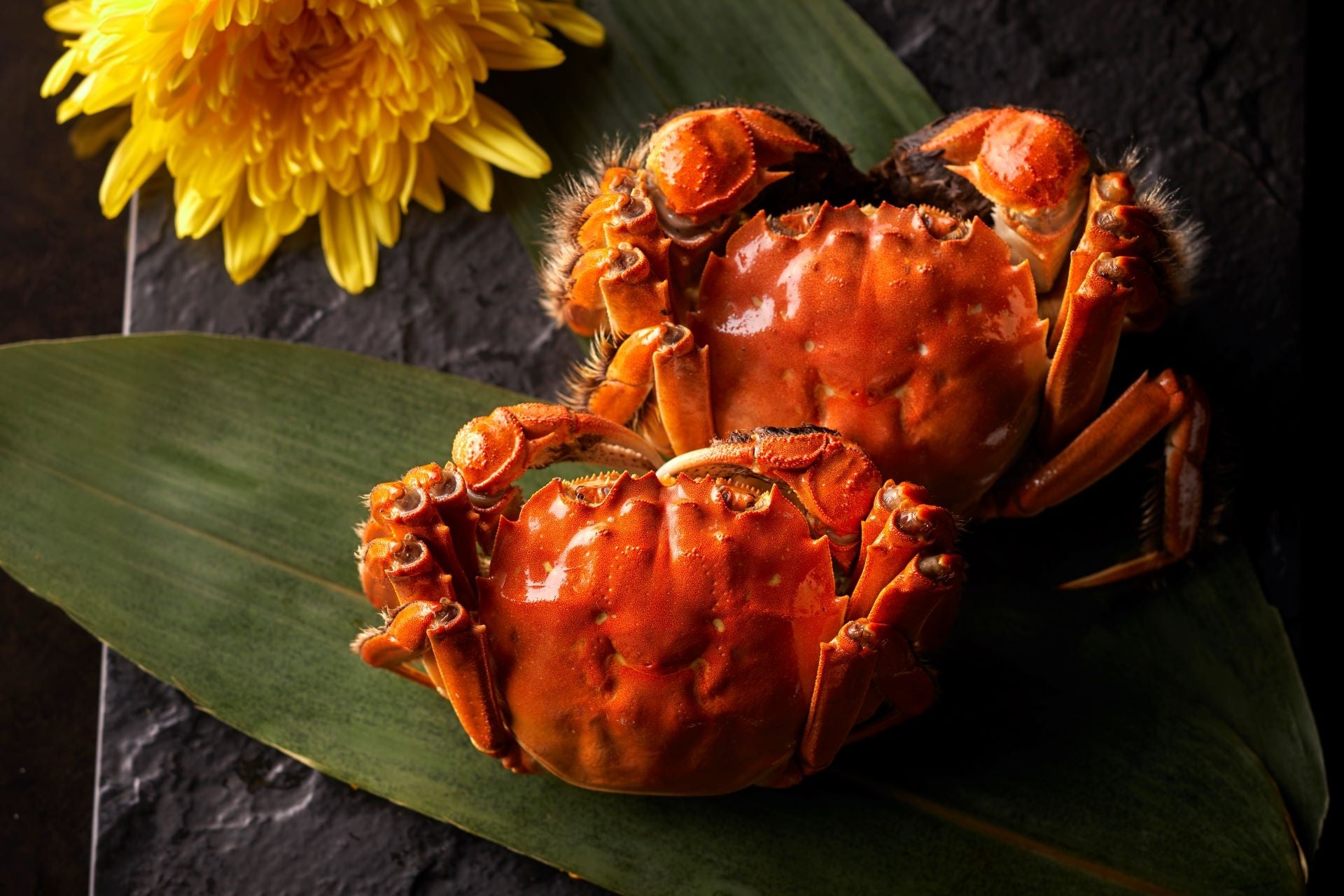 【ホテルニューオータニ博多】今が旬！濃厚な蟹味噌や雌雄の食べ比べを楽しめる『秋の味覚「上海蟹フェア」』を10月13日（金）から開催！