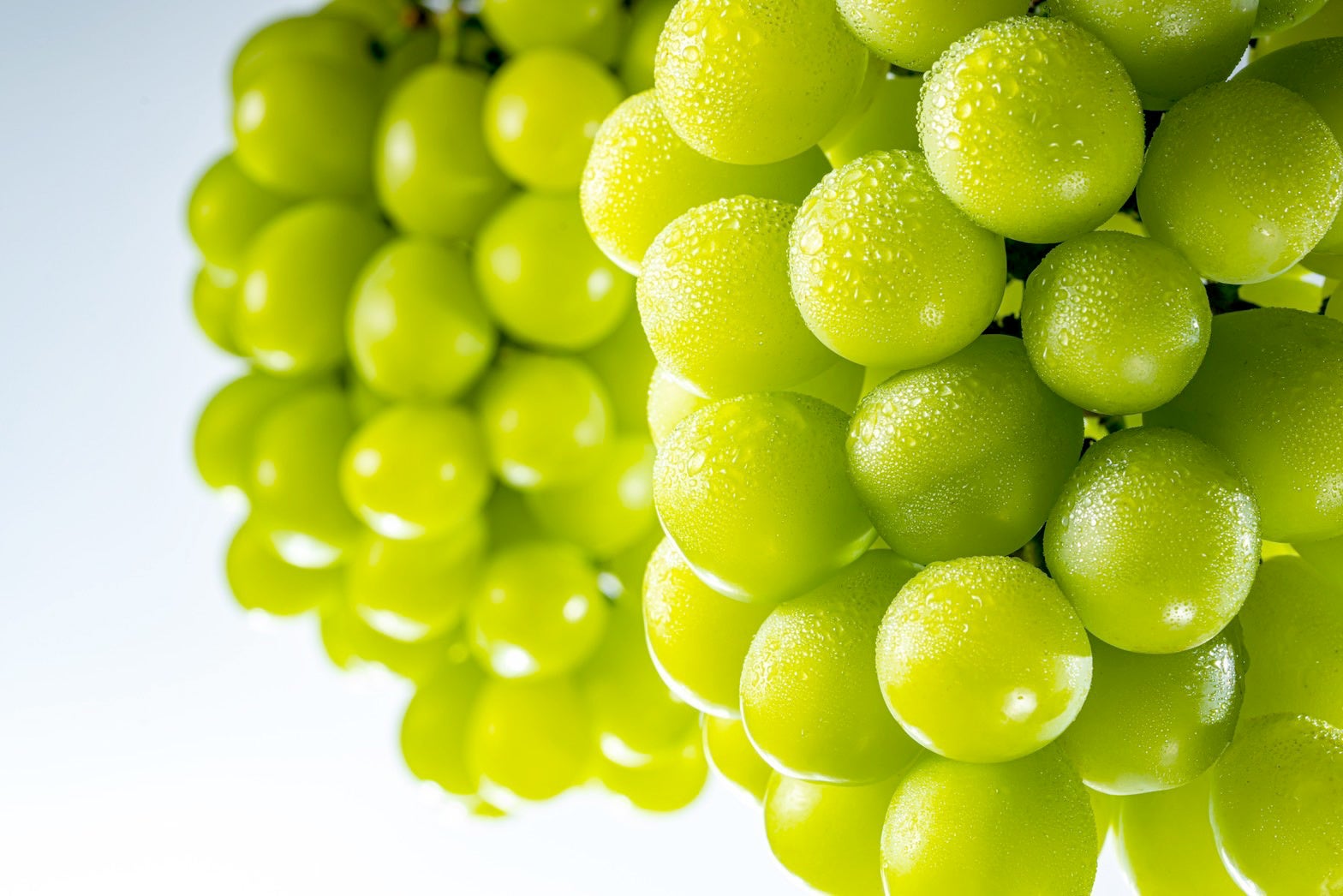 愛（AI）をアゲよう。オレアイダ　プレス発表会　日本を代表するアーティストAI（アイ）が制作したオレアイダの新しいサウンドロゴが明らかに！AIさん「人生でいちばん楽しいレコーディングだった」