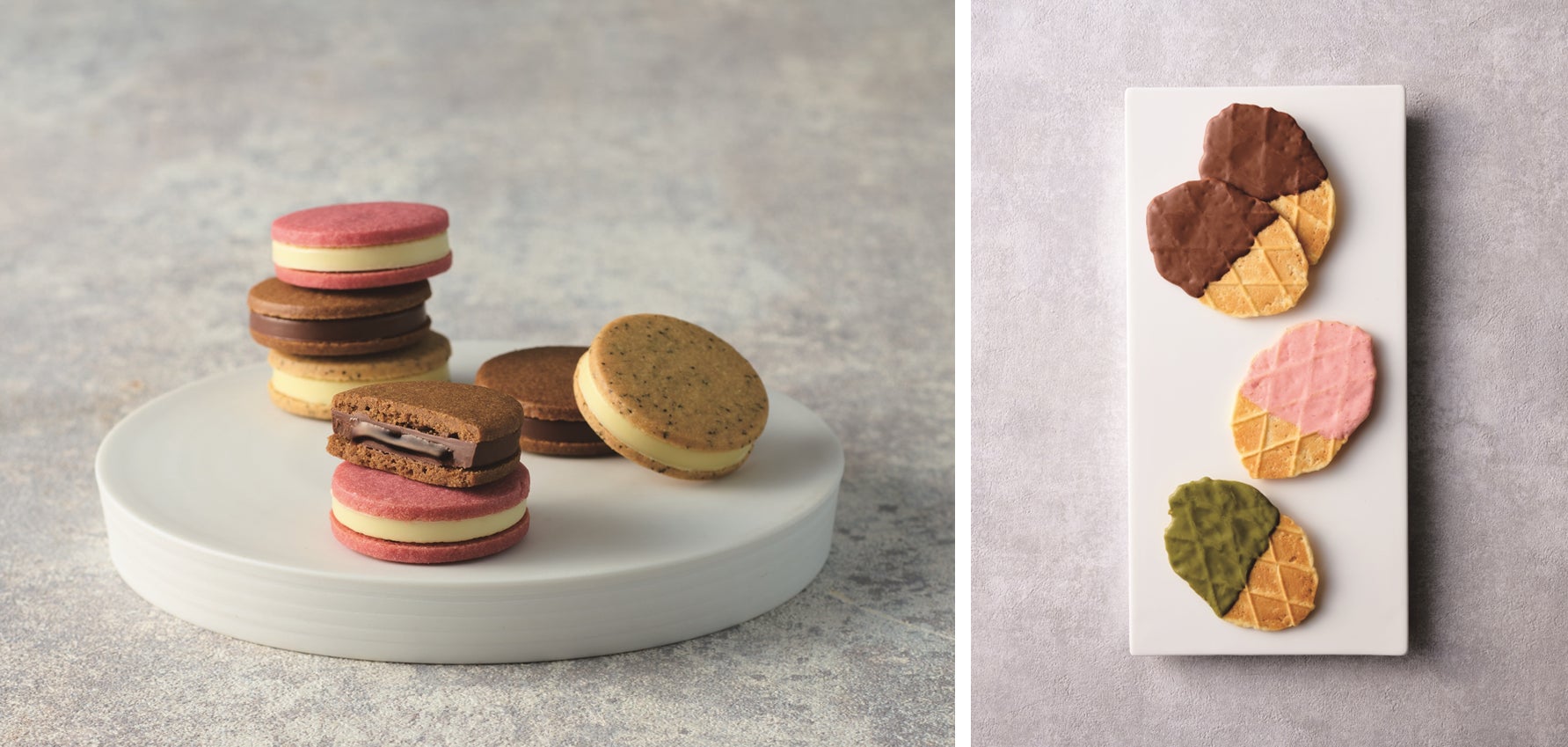 砂丘地うまれのシャインマスカット『オアシス・プレミアム・シャイン』を発売