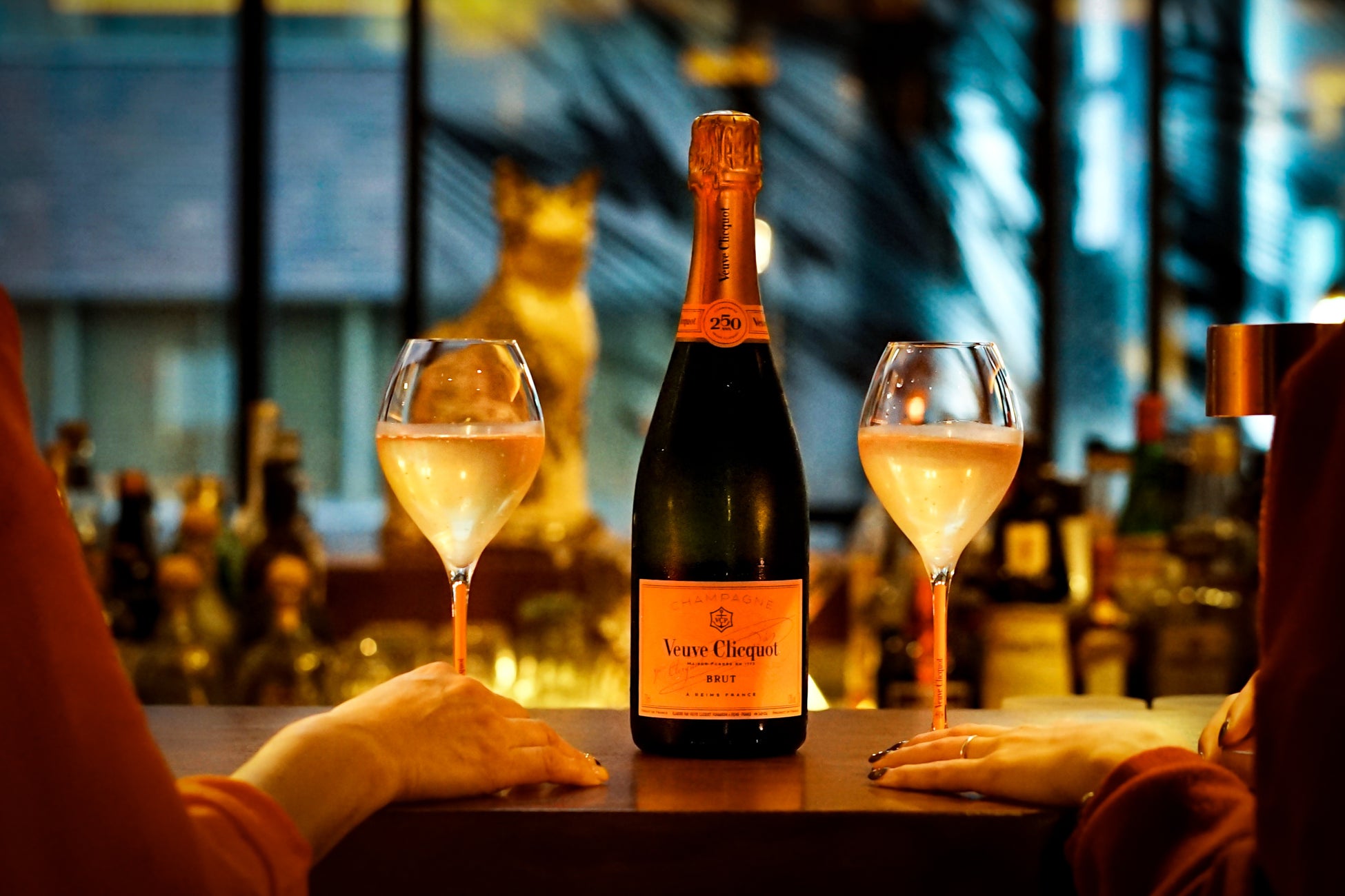 【博多】沖縄そば専門店「菊鶴そば」が10月18日（水）オープン！15、16日は博多駅店限定「牛そば」を半額で提供