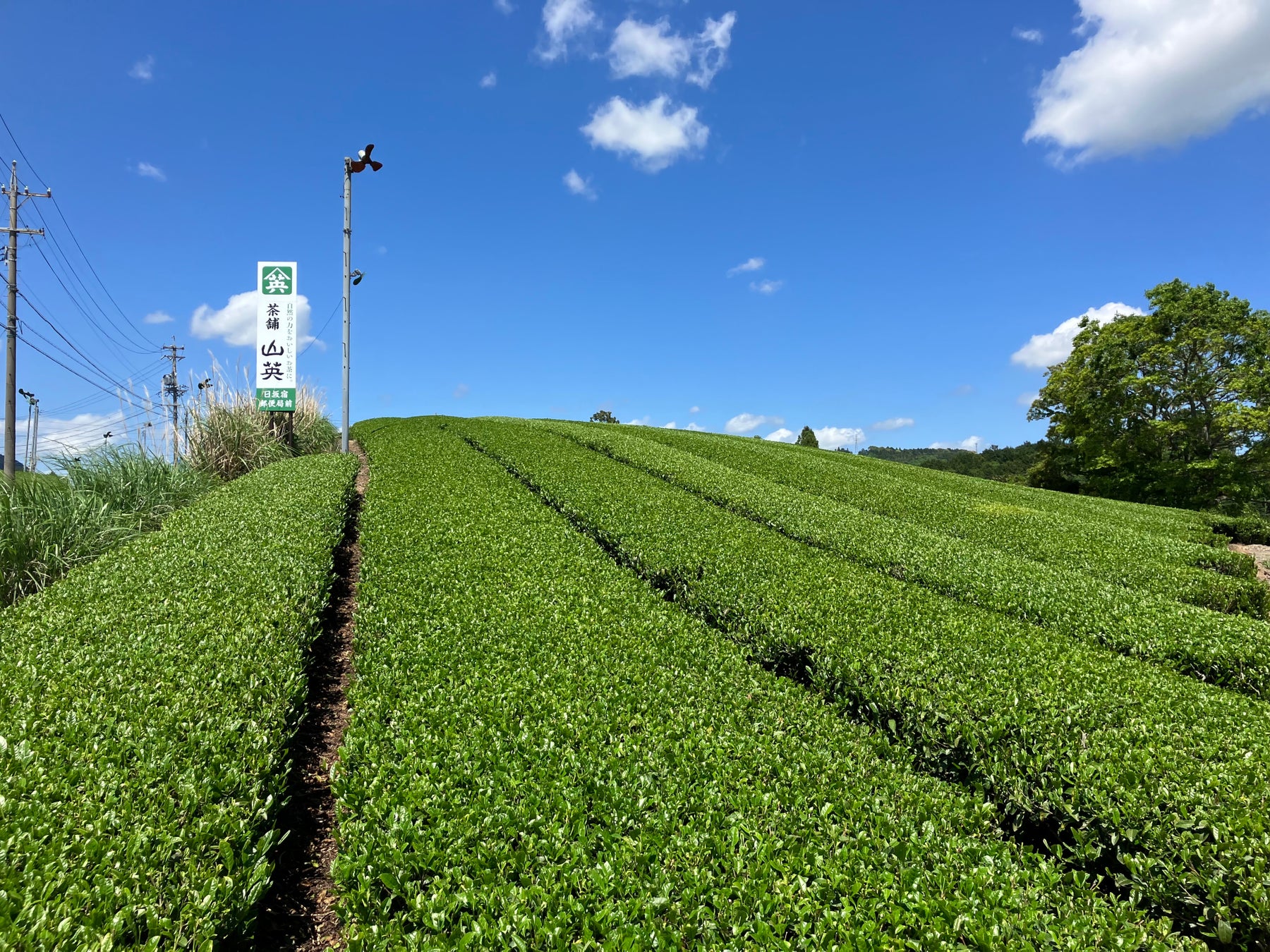 MATCHAのサードウェーブを銀座から世界へ　Hello Ginza,Hello Matcha　ATELIER MATCHA 11/15（水）より銀座移転リニューアルオープン＆世界展開本格始動スタート