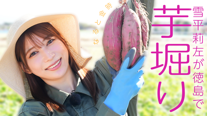 雪平莉左さんがＭＣのＹｏｕＴｕｂｅチャンネル「ゆるふわたいむ」  今回の配信は、徳島県ロケ第３弾！徳島県のブランド さつまいも「なると金時」の収穫体験！