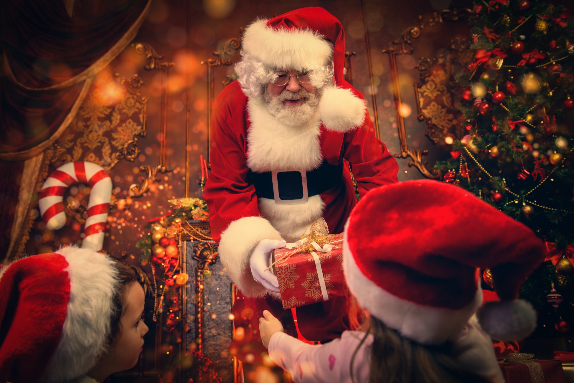 ＜1ケ月で10万個販売した秋限定「どら焼き」>和菓子専門店もりもとによる、今秋収穫したばかりの新小豆を使用した「北海道どら焼きヌーボー」を本日より期間限定販売いたします。