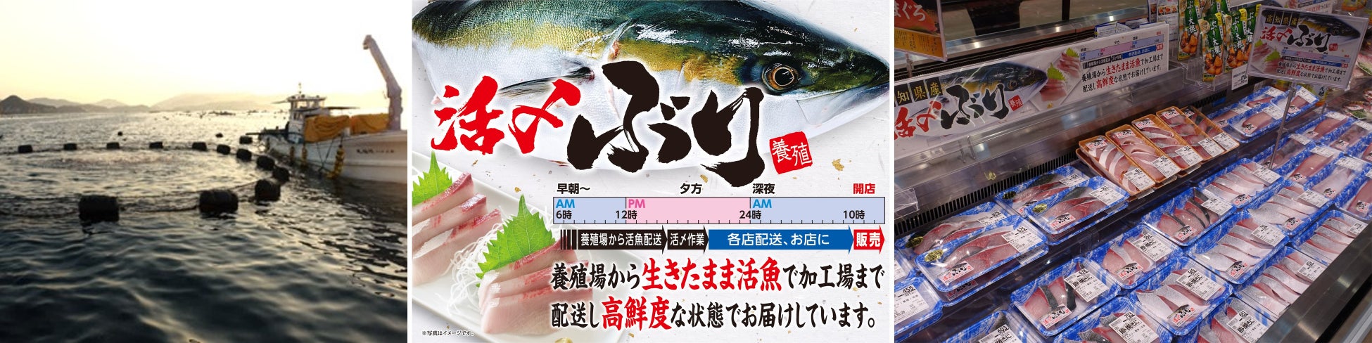 【メロディアン】あの人気のど飴がドリンクに！『はちみつきんかんのど飴テイストドリンク』を新発売！