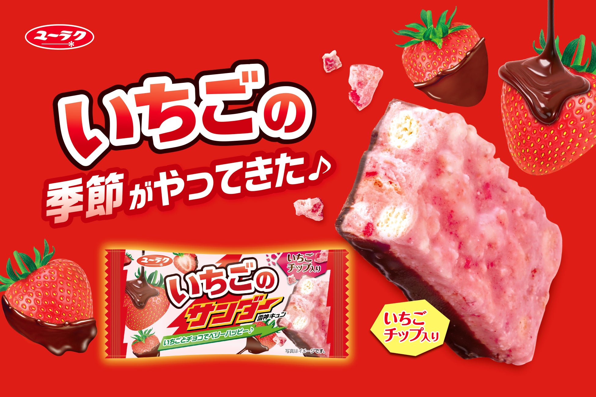 いちごの季節到来！チョコといちごでベリーハッピー♪ 『いちごのサンダー』新発売いちごの甘酸っぱさとチョコのバランスが楽しめる王道フレーバーが今年も登場♪