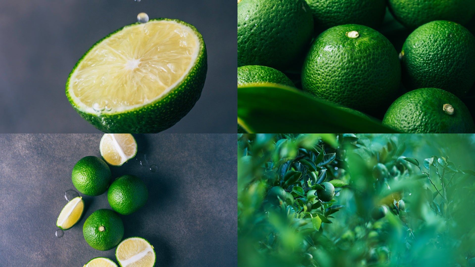 JR新橋駅、JR有楽町駅　エキナカ商業施設「エキュートエディション」新橋・有楽町「エキュっと一杯」