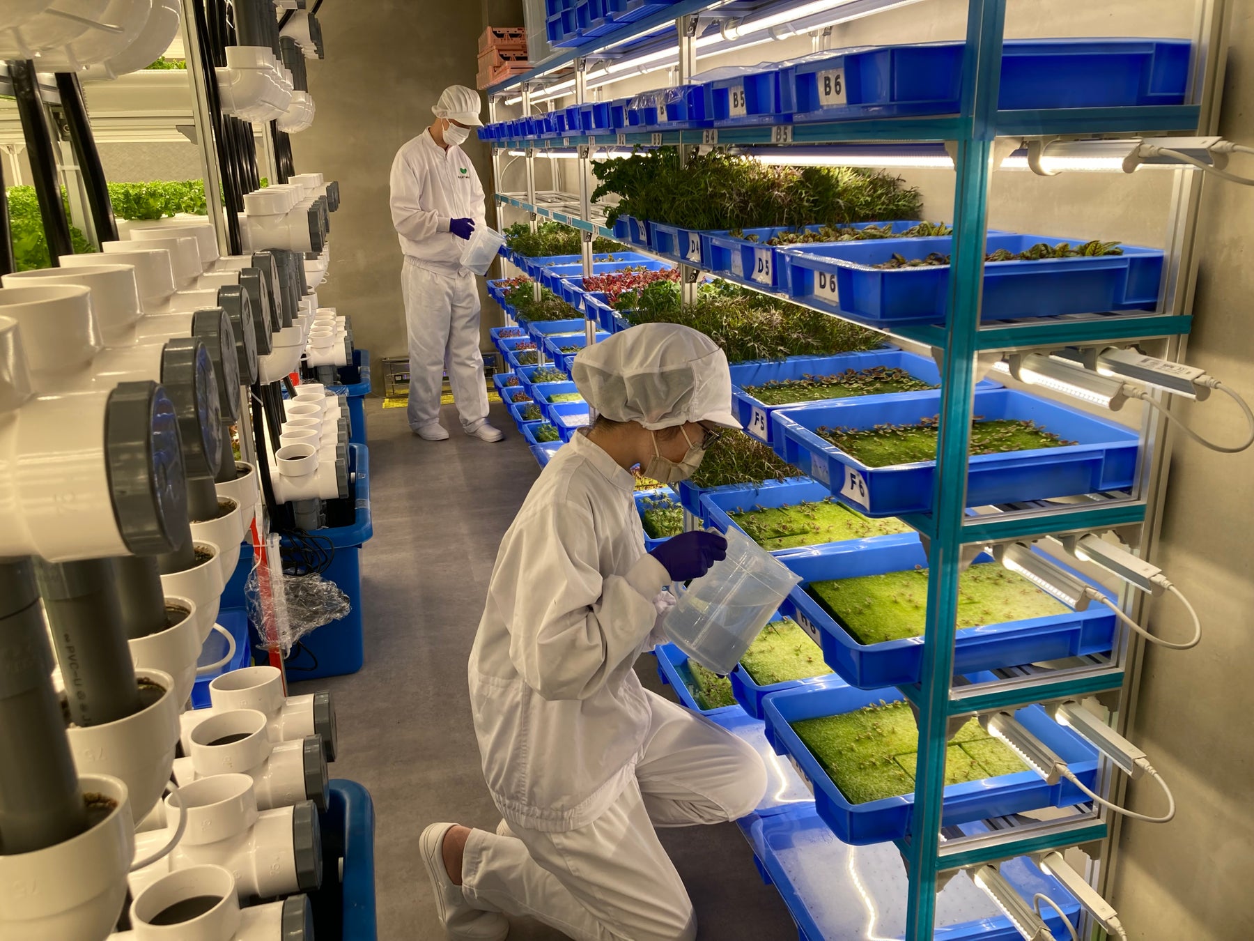 練馬で人気の鰻専門店鰻の成瀬　ひばりが丘店11月25日オープン