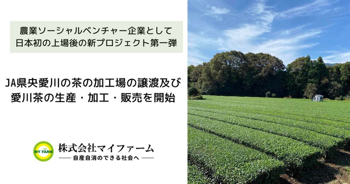 株式会社マイファームによるJA県央愛川の茶の加工場の譲渡及び愛川茶の生産・加工・販売を開始します