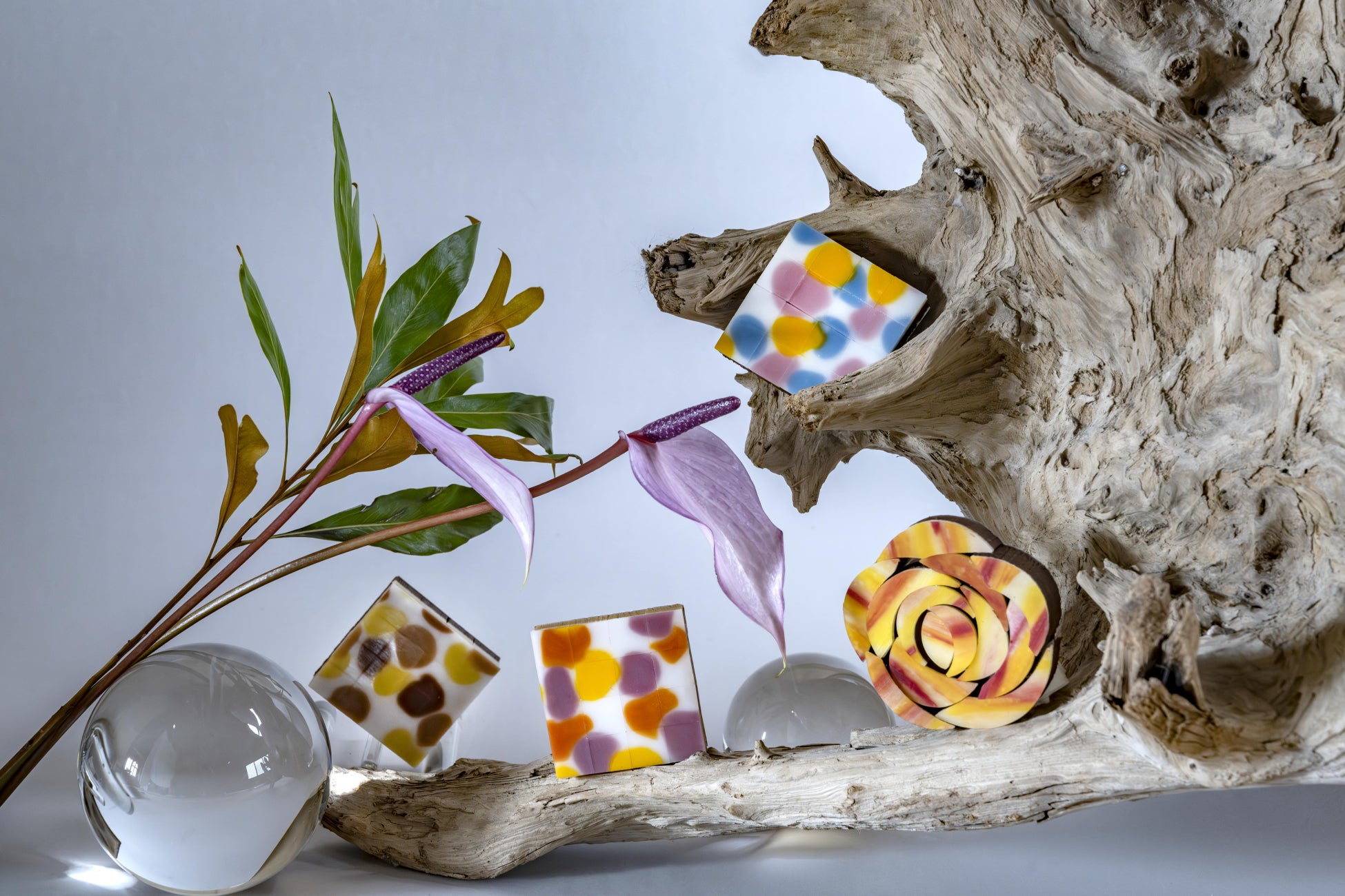 古代吉備王国の古墳巡りへ誘うトレカ「こふん王国の古墳カード」に新カードを追加!取扱店限定のレアカードも登場!