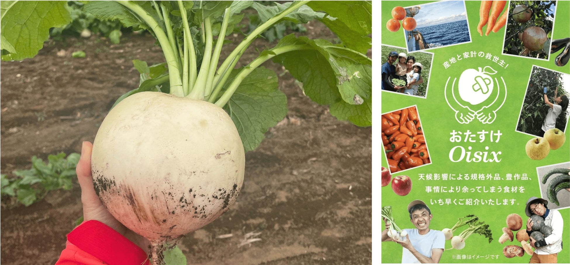 【新横浜プリンスホテル】冬本番の寒さを乗り切るために、美味しくスタミナをチャージ！幅広い年代のお客さまにお楽しみいただけるディナーブッフェ「WINTER MEAT FESTIVAL」を開催