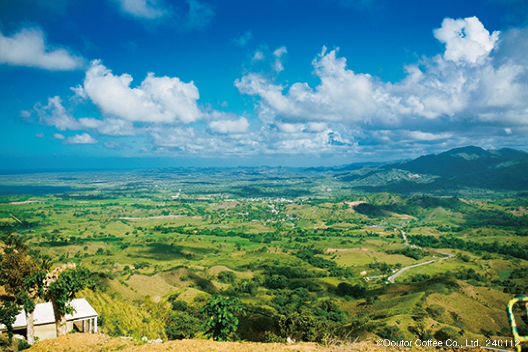 【推し活応援Cafe de Lapis】推しの「記念日」を彩る「Anniversary Set」期間限定発売決定