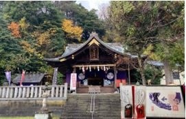 おせちで欠かせないメニューの人気No.1は「黒豆」で56.5%！「楽天レシピ」、「おせち料理に関するアンケート」を実施