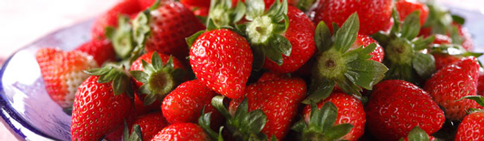 【開業】深川リキュルラボ 製造第一弾「8th ocean クミン梅酒 The First Edition」が発売！