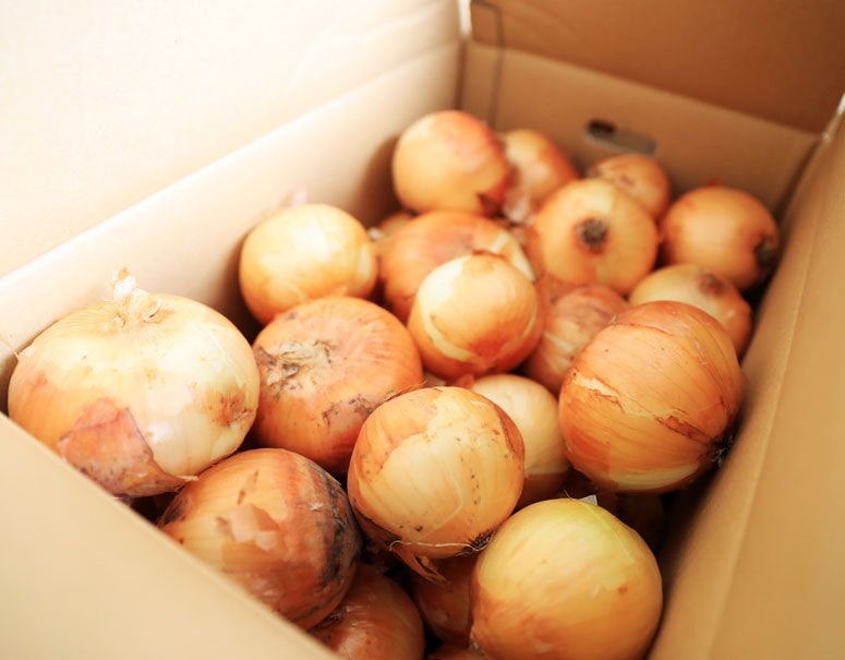 敷島製パン「サンドロール ダブルメロン」お詫びと商品回収のお知らせ