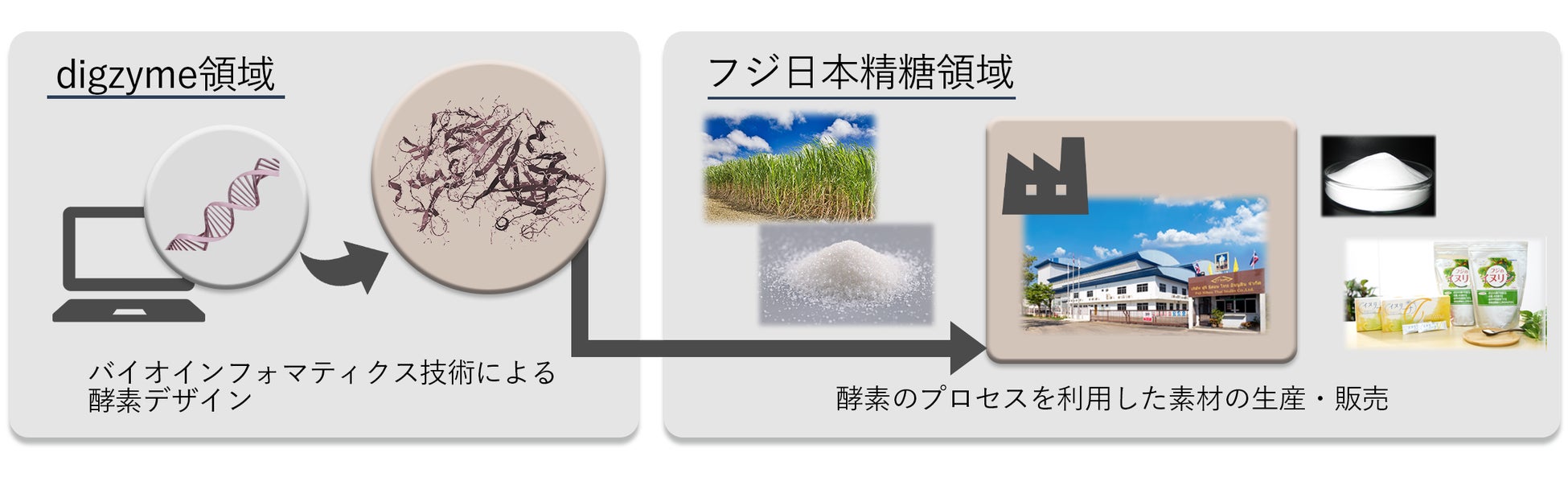 糖質原料から酵素法による新規機能性素材の開発と実用化に向けて、digzyme、フジ日本精糖と業務提携契約を締結