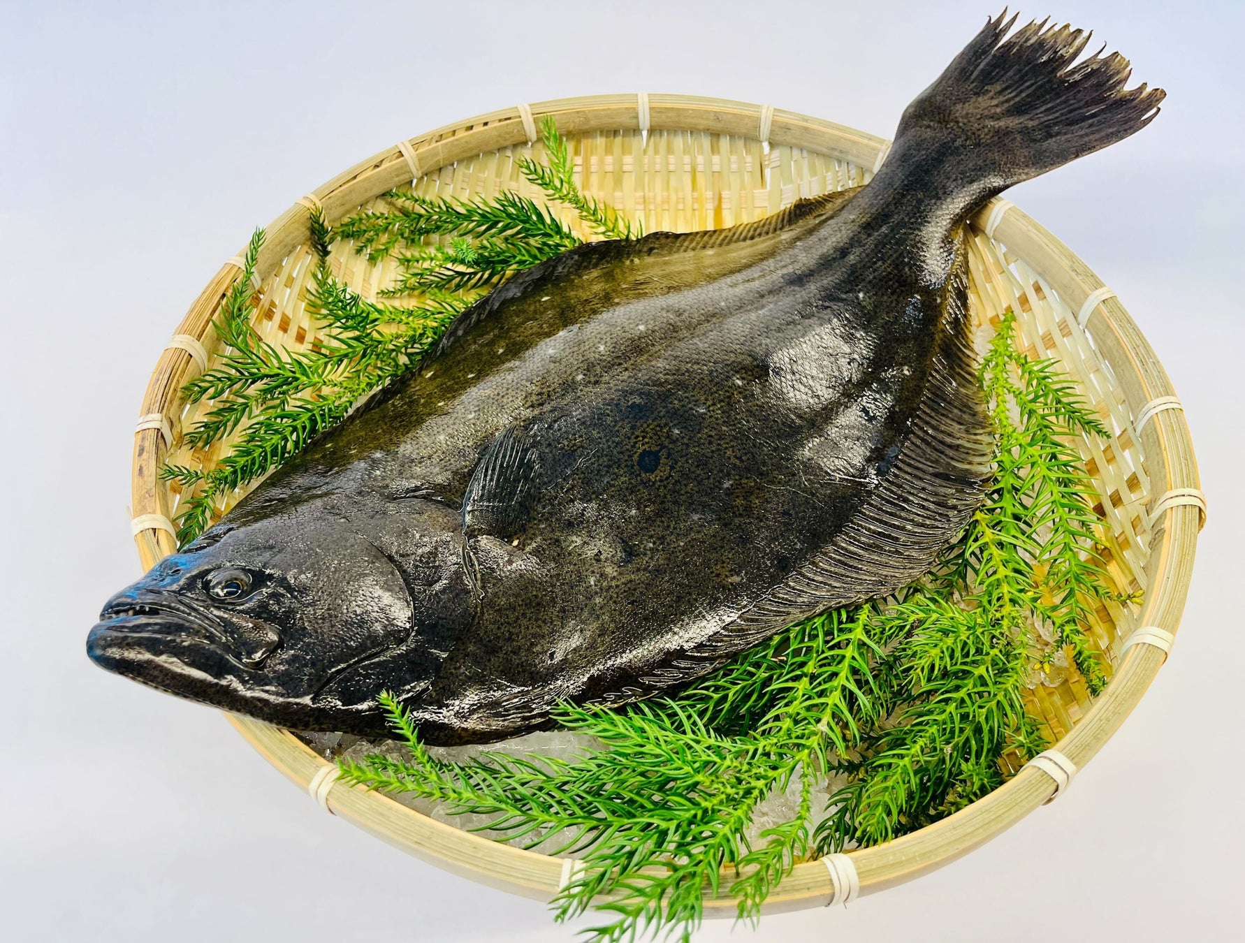 宮崎の海に想いを馳せながら…　美味しいワインはいかがですか？海プロオリジナルラベルキャンベル・アーリー発売！