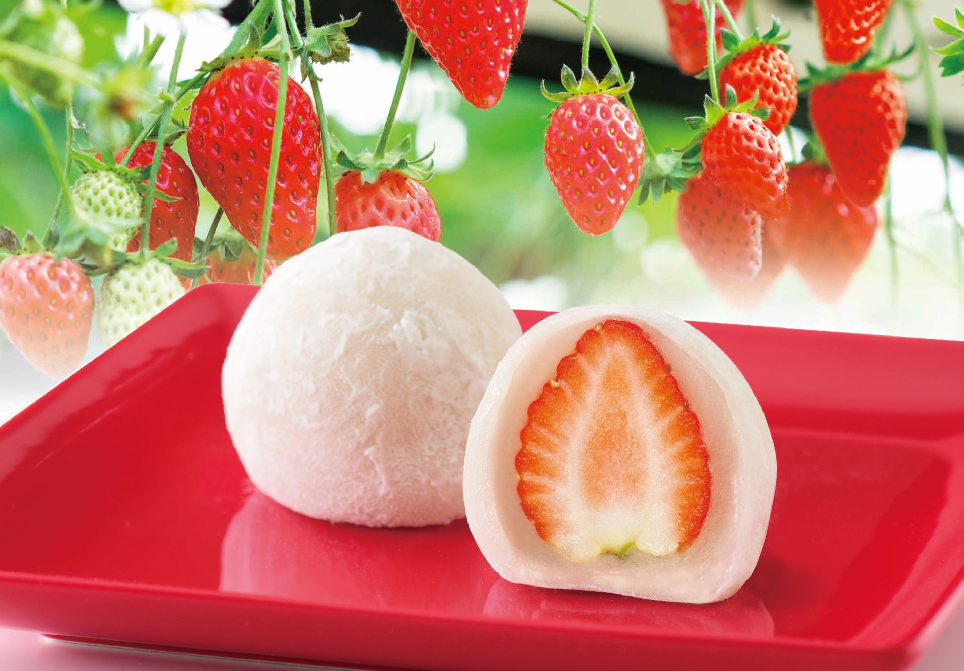 【いちごフェア】甘酸っぱくて、見た目もかわいいピンクのガーナのチョコレートとアイスが今年も登場!「ガーナピンクチョコレート」「ガーナチョコ&クッキーサンド 恋味いちご」冬春限定発売