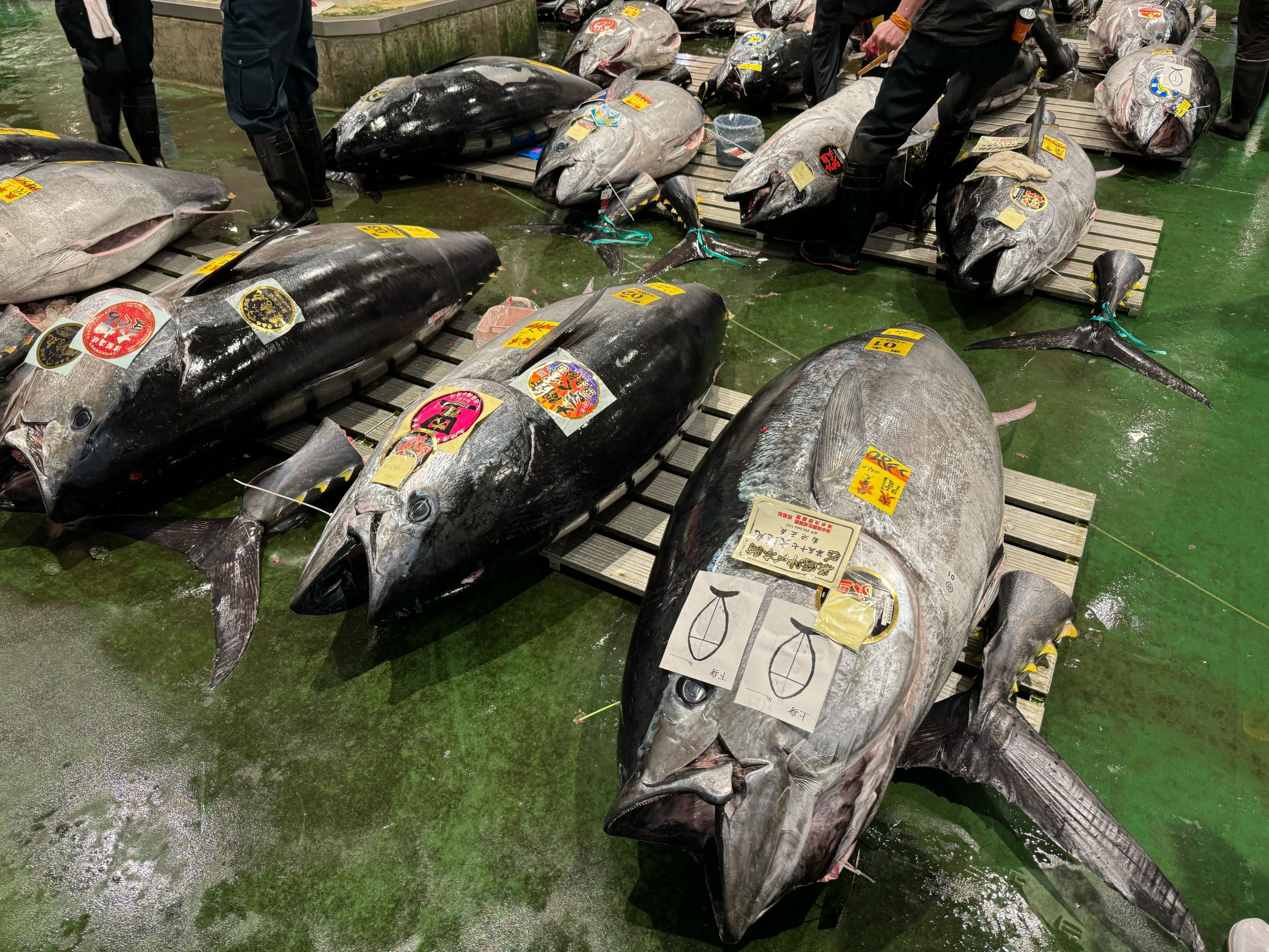 株式会社7&COLORS(代表:鈴木七緒)が運営するRiboNが2周年記念イベント【RiboN CHAOS JAM】を開催