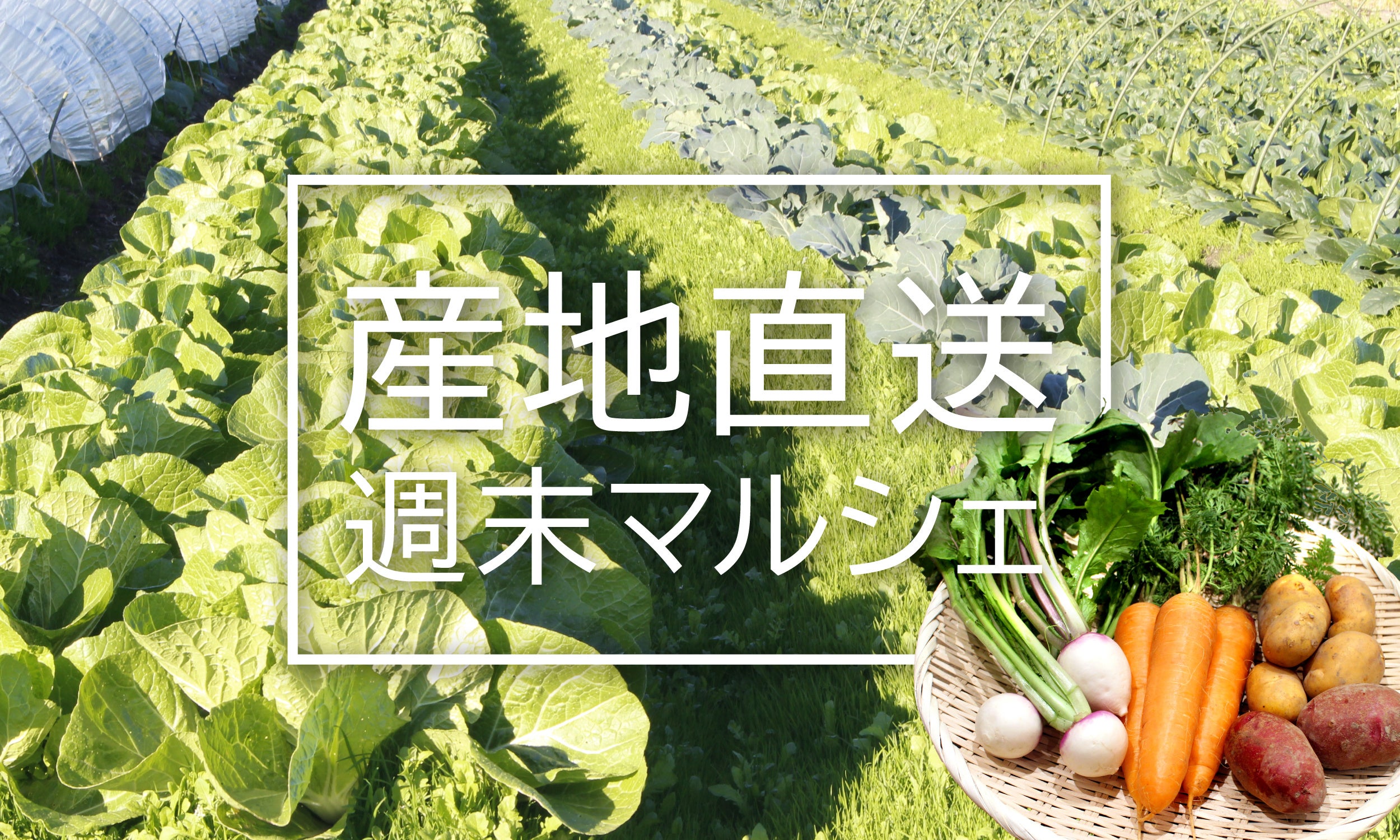 サンクトガーレン、チョコレートビール4種を2024年1月12日より数量限定発売。2024年の限定フレーバーは塩キャラメル。バレンタインギフトにも。