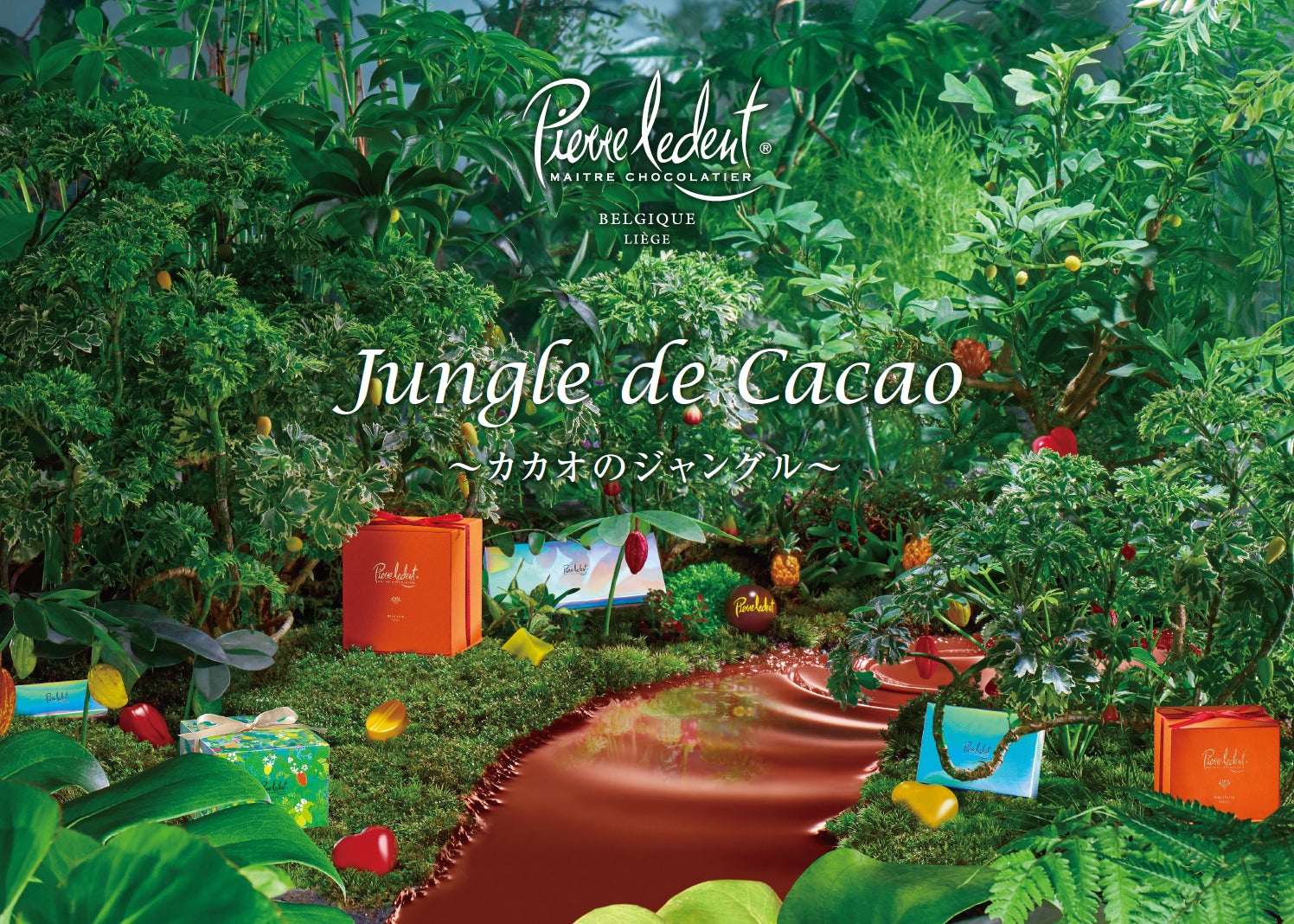 ベルギーチョコレートの元祖＜ノイハウス＞の2024年バレンタイン販売開始。日本限定ボックスも新登場。