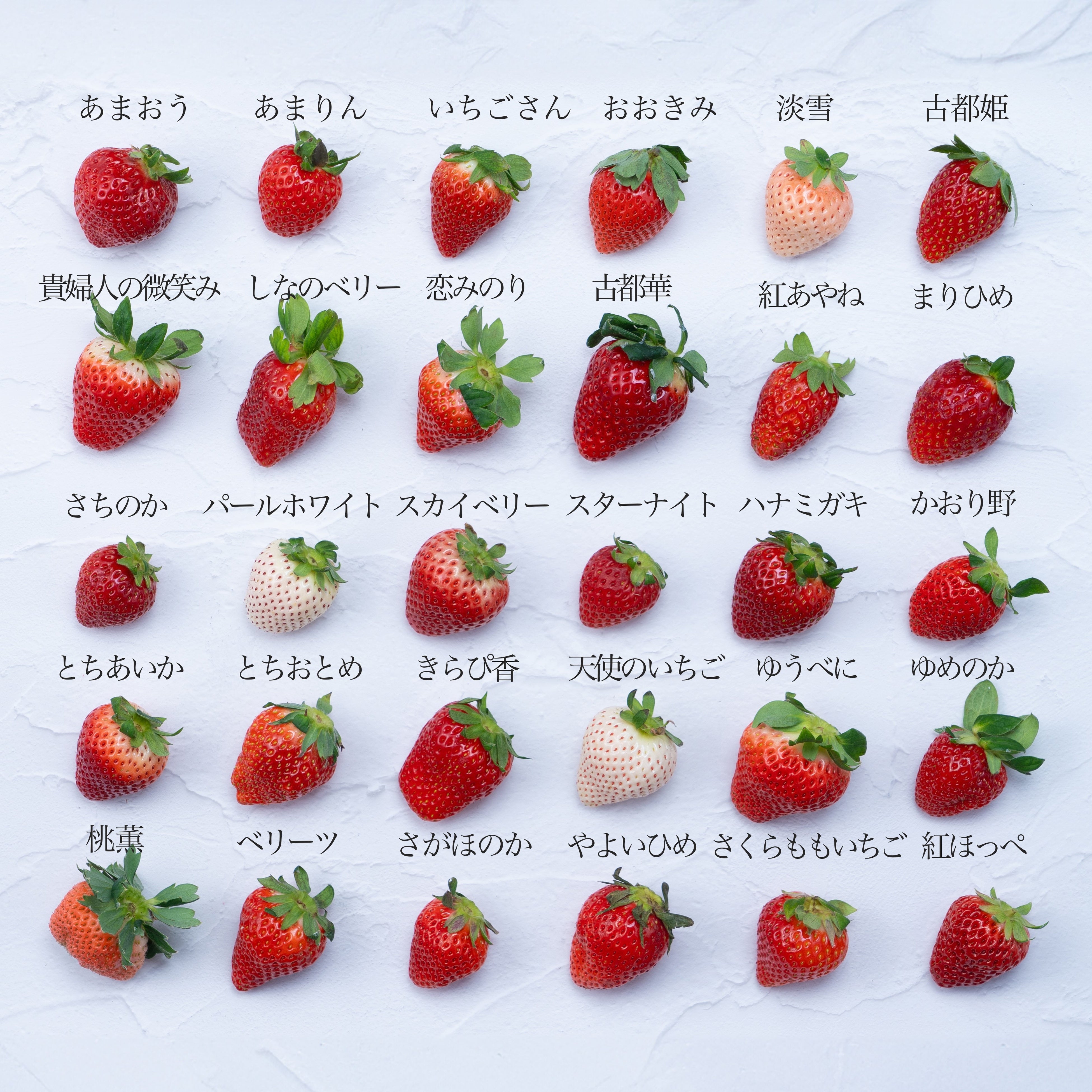 旬のイチゴを堪能する「いちご12種食べ比べ」出荷開始！！