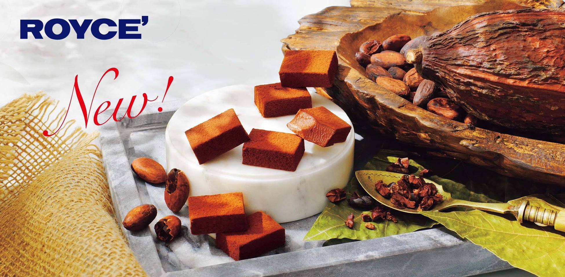 新型特急スペーシア X に新たなゲストビールが登場