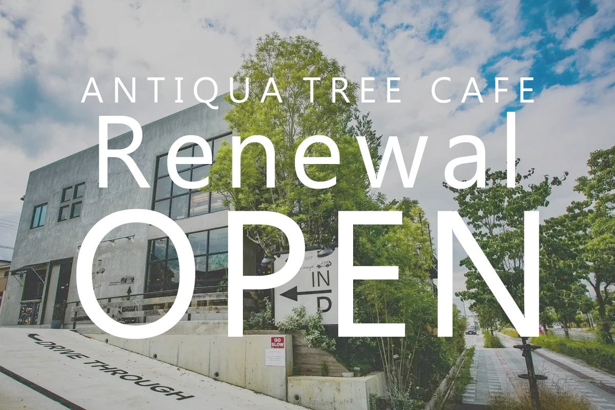 国内唯一のantiqua（アンティカ）実店舗【ANTIQUA TREE CAFE】がリニューアルオープン！感謝を込めてスペシャルサンクスイベントを開催します！