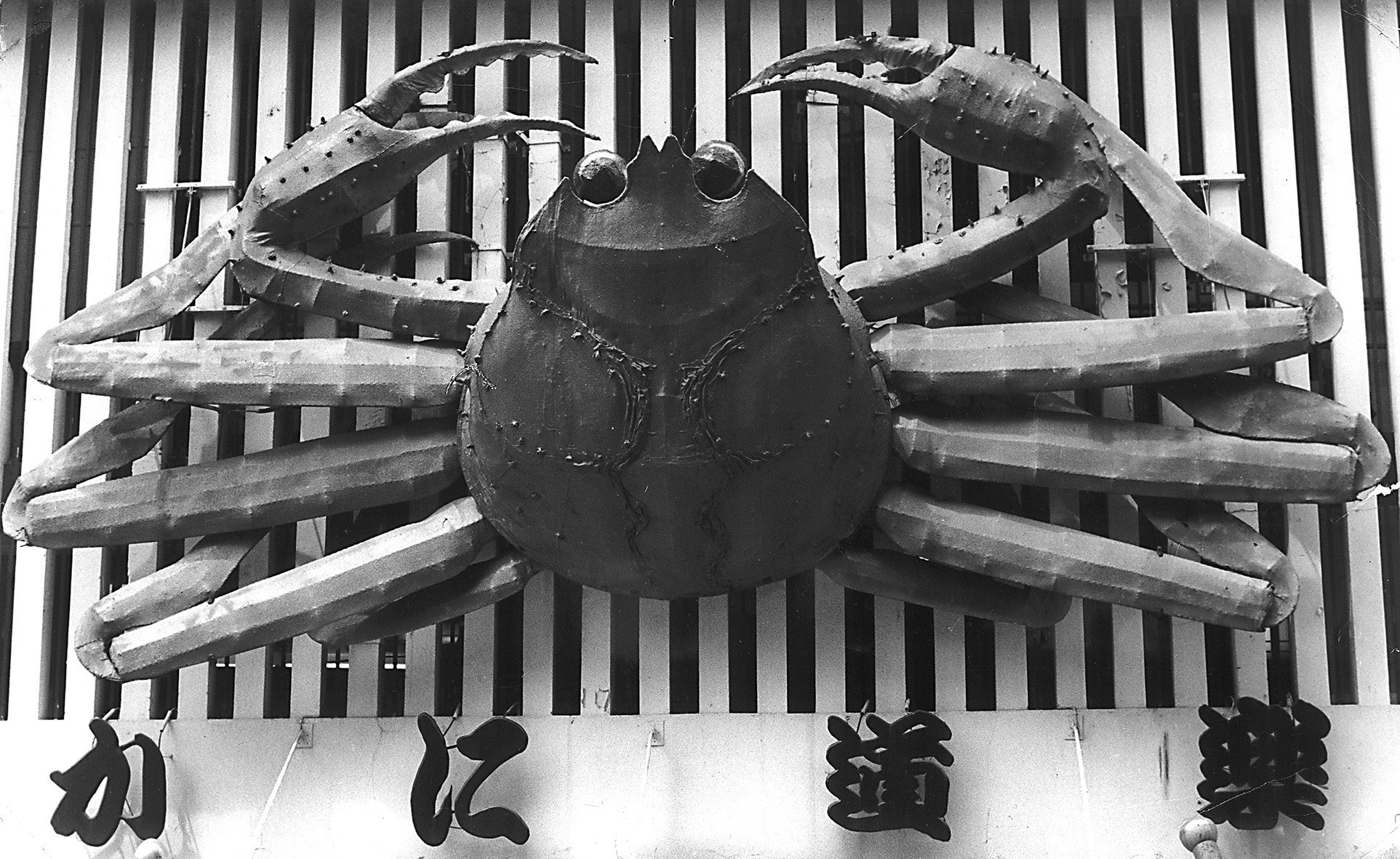 農産物のさらなる価値向上を目指す青果物の品評会 「鍋野菜選手権」 を開催　「 大和菊菜／松岡　弘さん(まっちゃんのお花+veg)／奈良県天理市」が最高金賞を獲得！