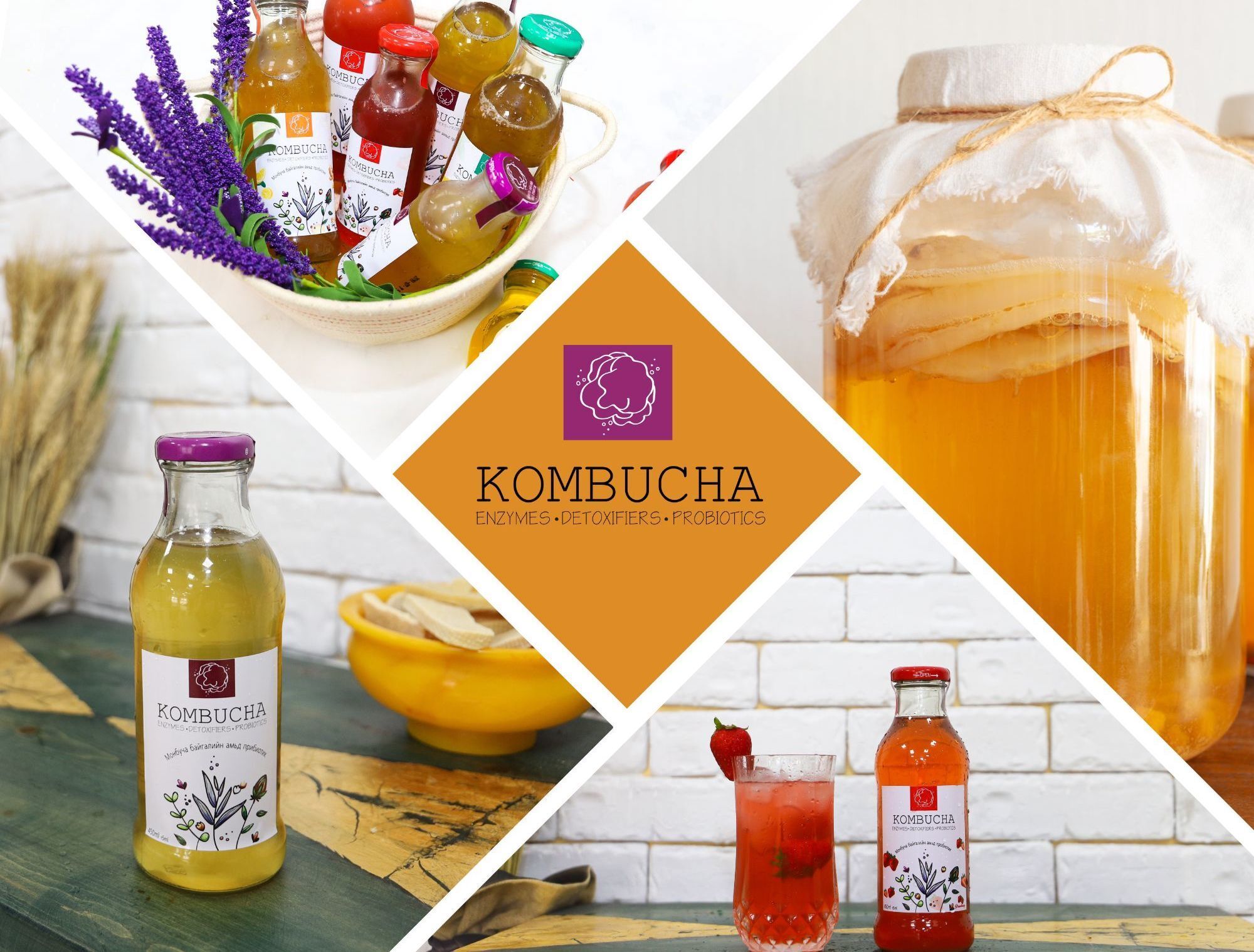モンゴル老舗のコンブチャメーカー「Kombucha Mongolia」
イーデパ・ワールド株式会社と新商品を開発！3月発売予定