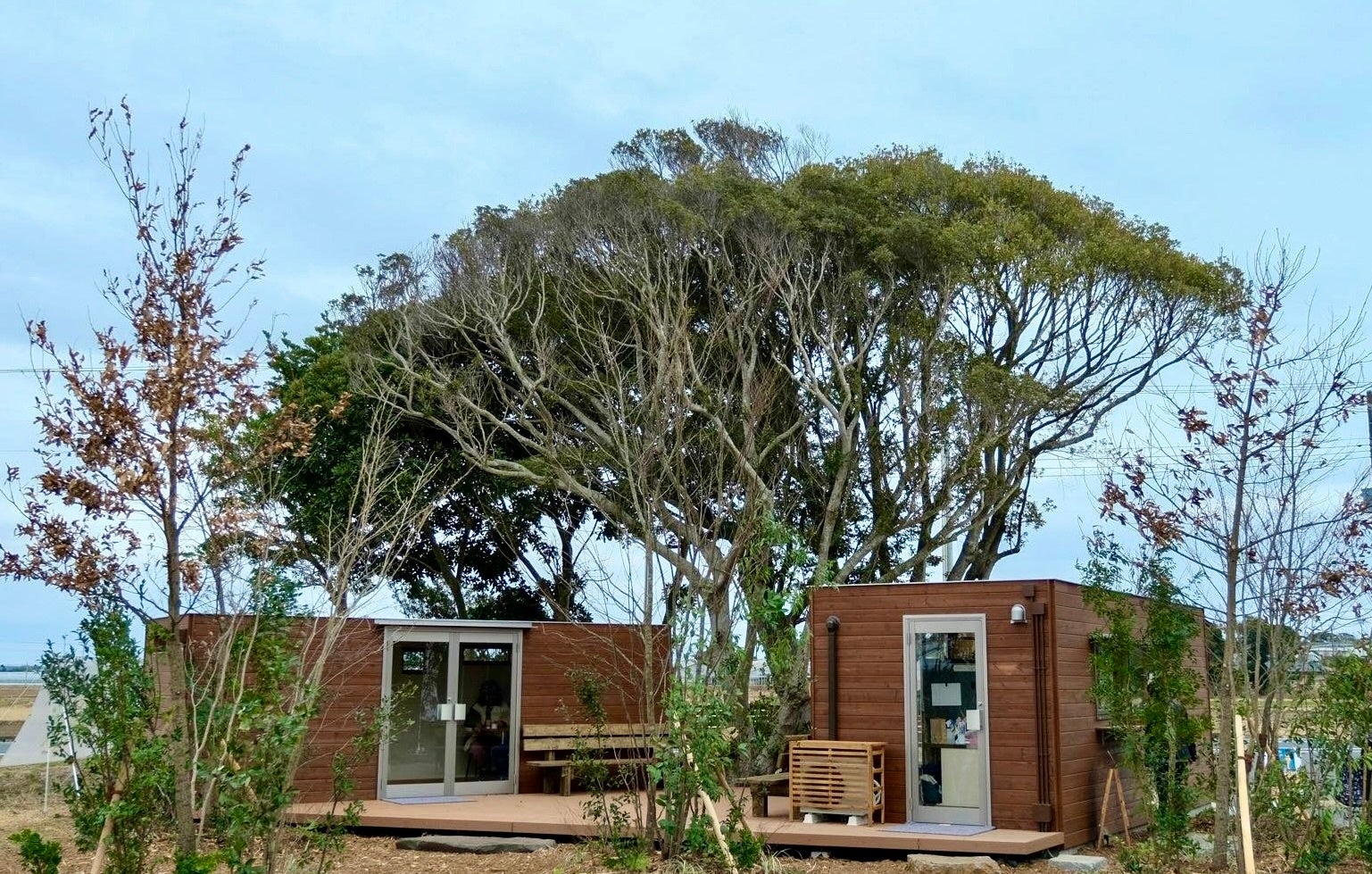 【銀座コージーコーナー】みんな大好きロッテ「チョコパイ」がケーキに!2月2日から期間限定発売ケーキならではのしっとり・なめらか食感&艶やかリッチ仕立て