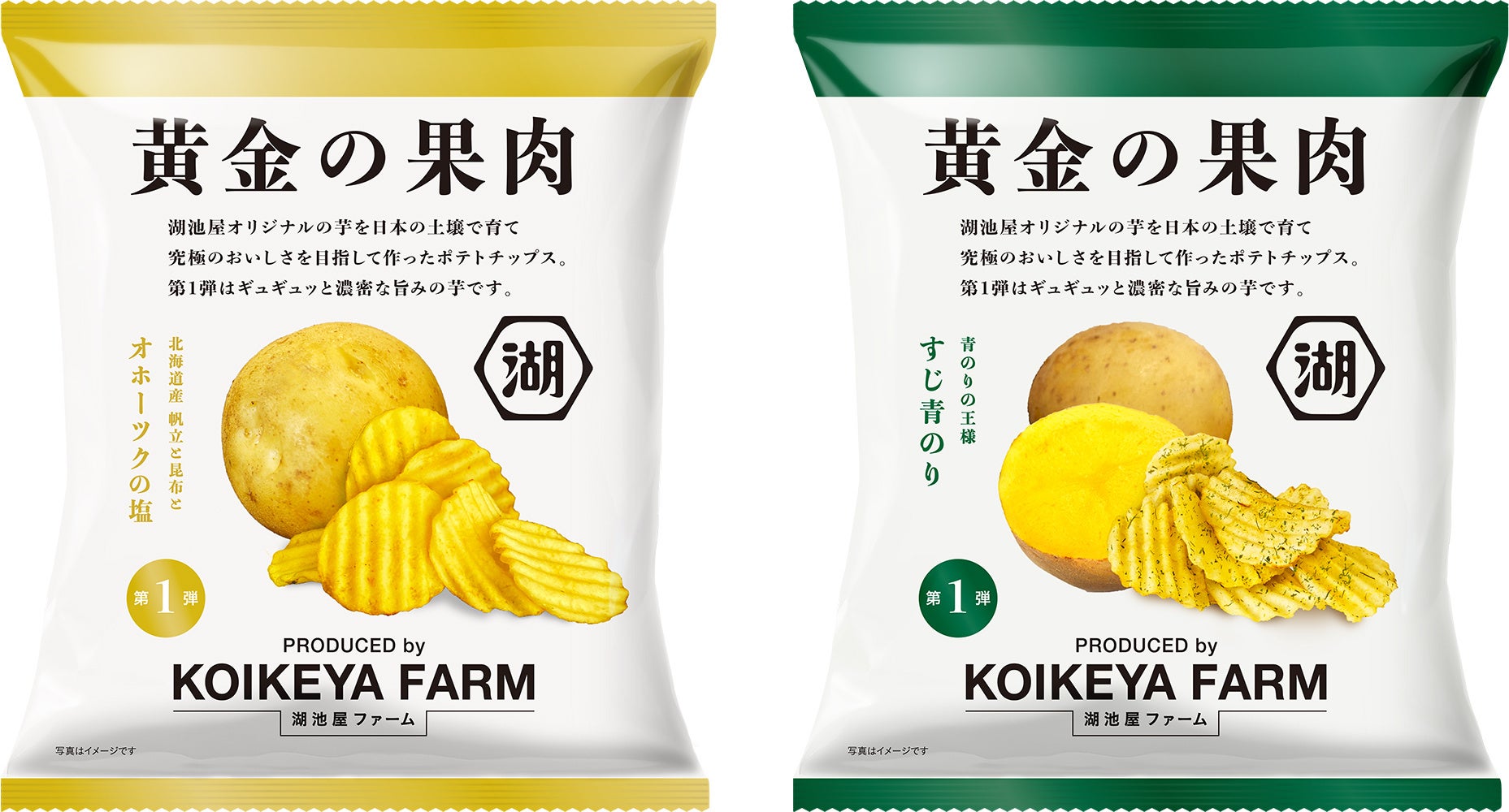 オンラインショップでの先行予約発売分は初日に即完売！ “日本のテロワールでつくる究極のポテトチップス”「KOIKEYA FARM 黄金の果肉」 店頭での販売を開始！