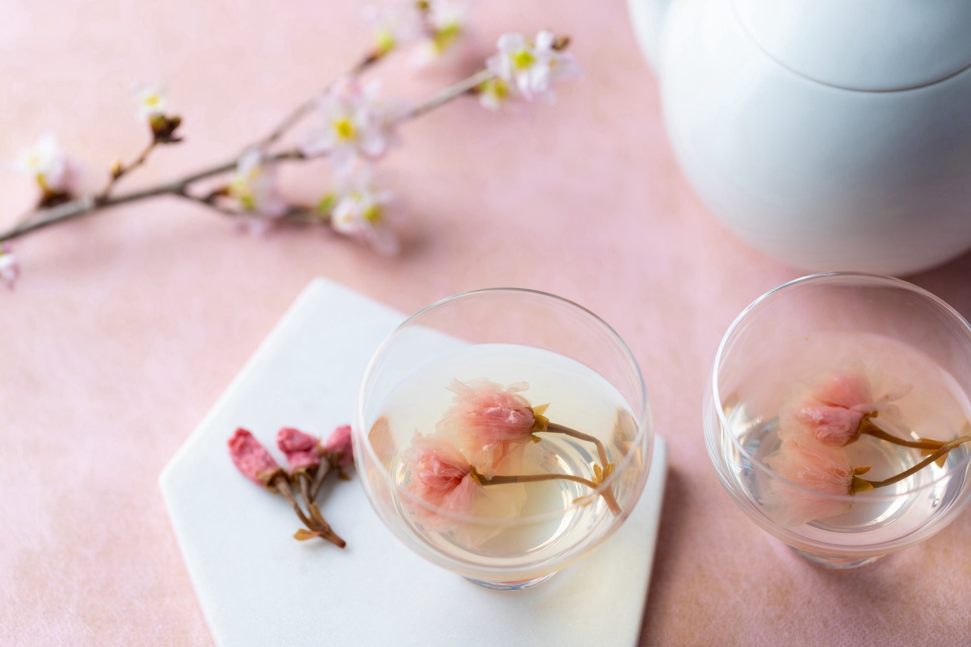 38年目の「ヨーロピアンシュガーコーン」が初挑戦！華やかに香る白桃をジェラートに仕上げた「ヨーロピアンシュガーコーン　白桃のジェラート」が、2月19日から新発売！